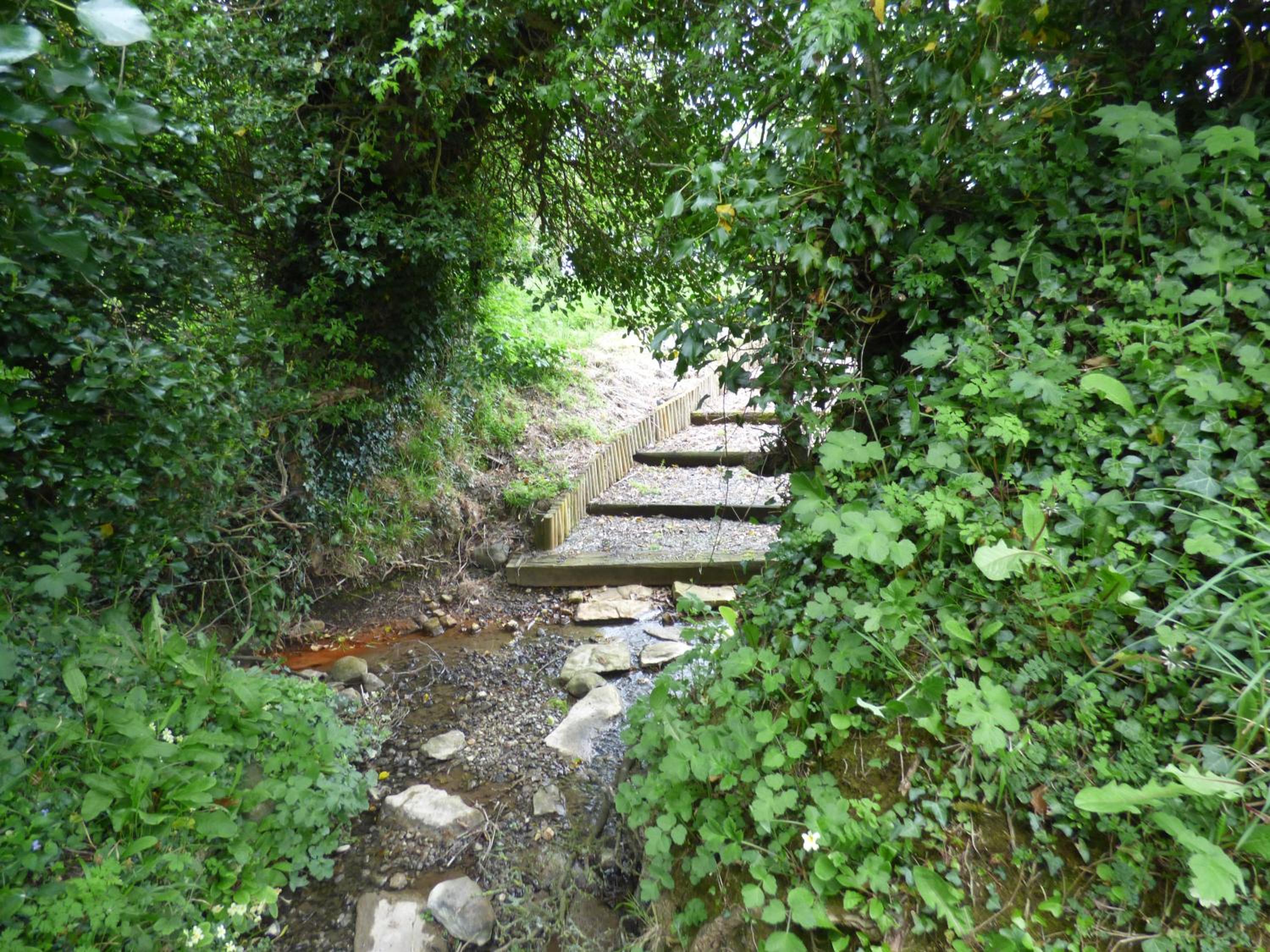 Photo 33