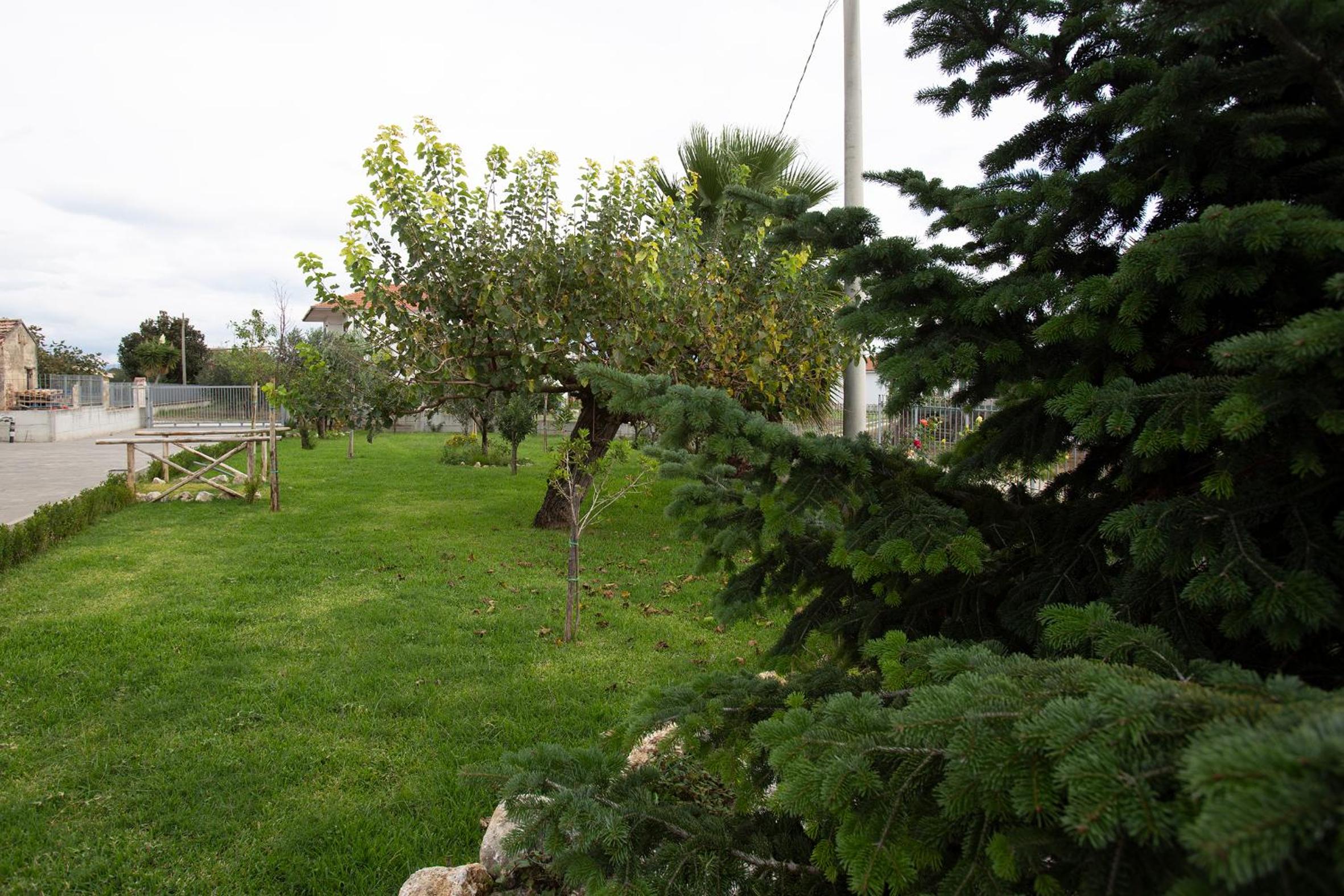 Photo 34