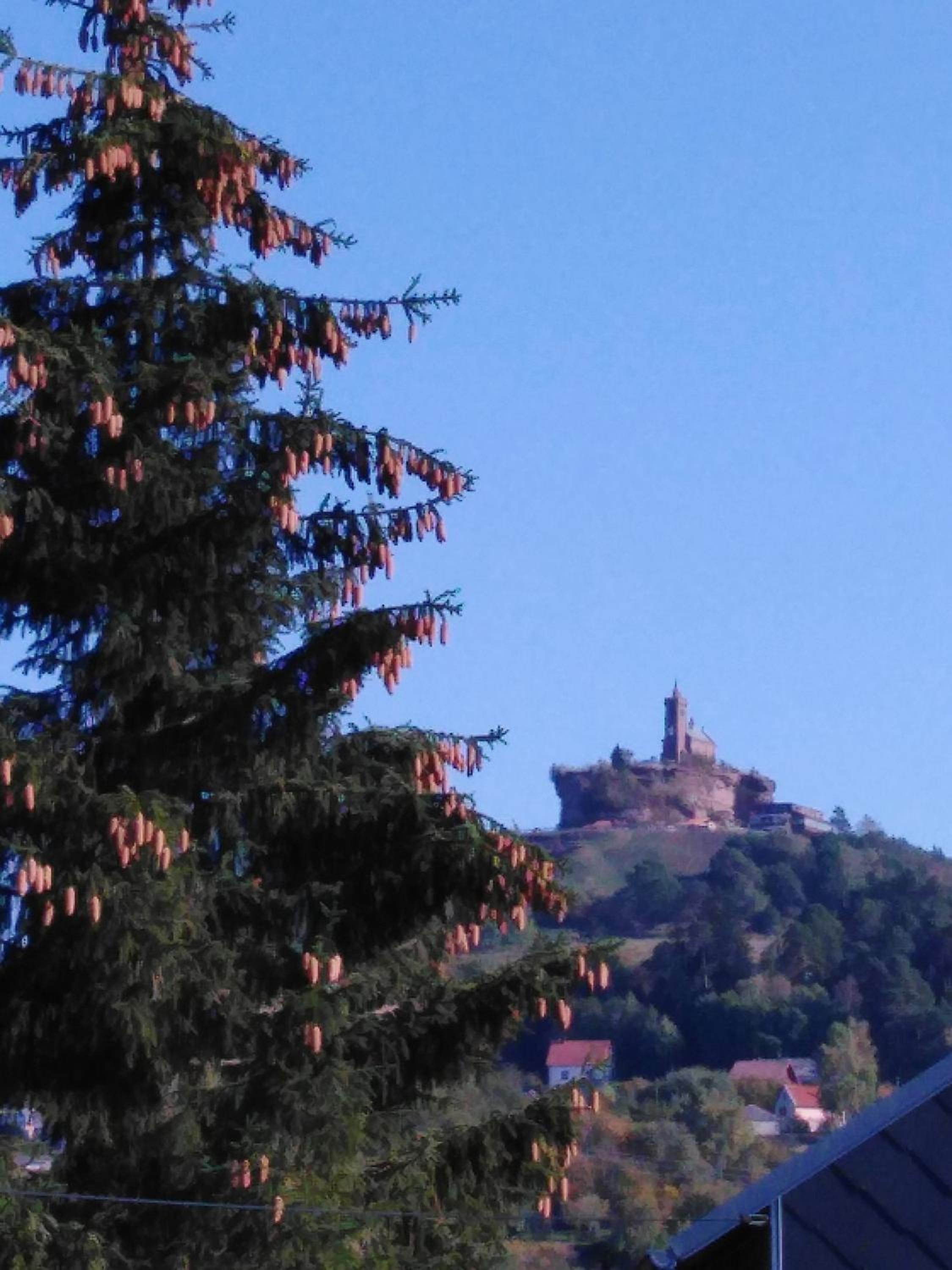 Le Gite Du Bucheron view 5