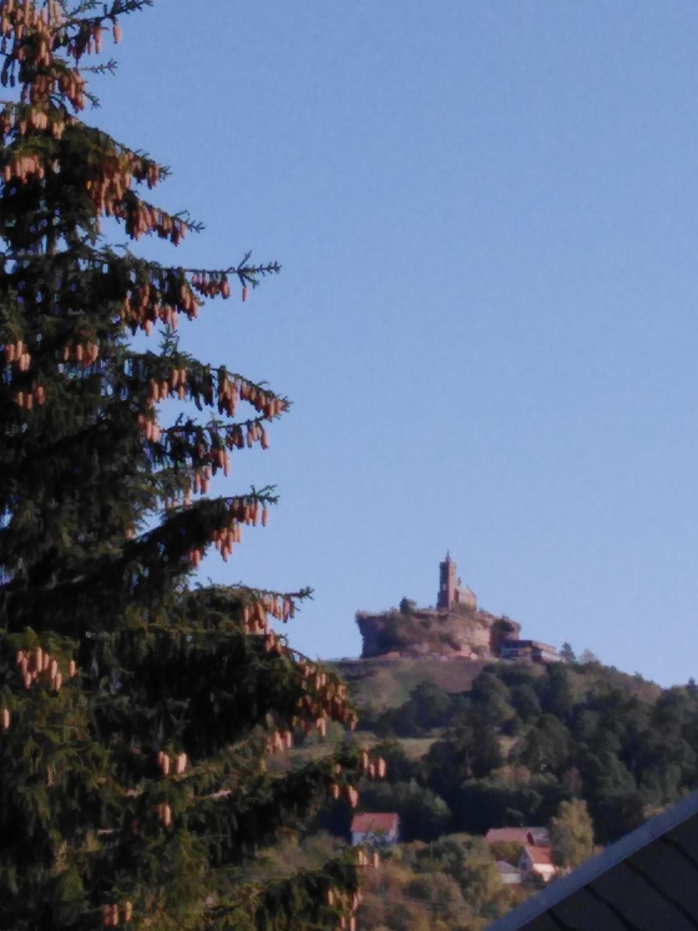 Le Gite Du Bucheron view 4