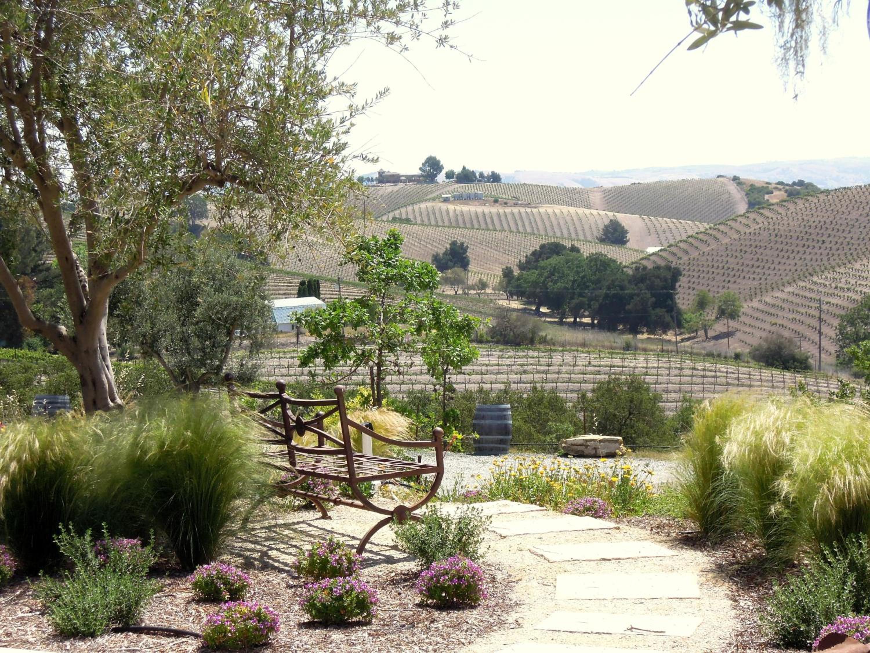Croad Vineyards - The Inn