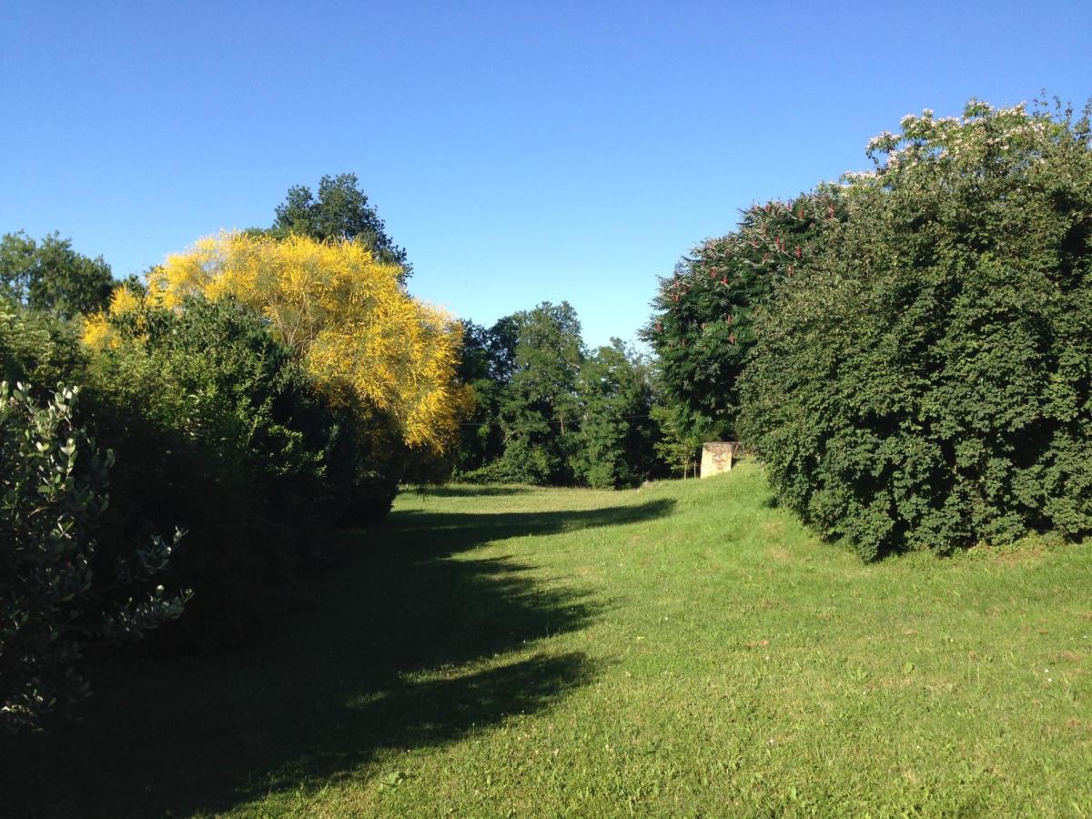 Photo 42