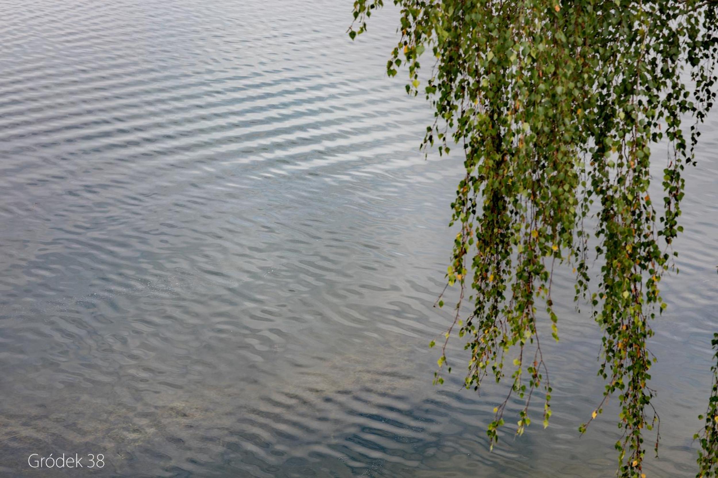 Photo 39
