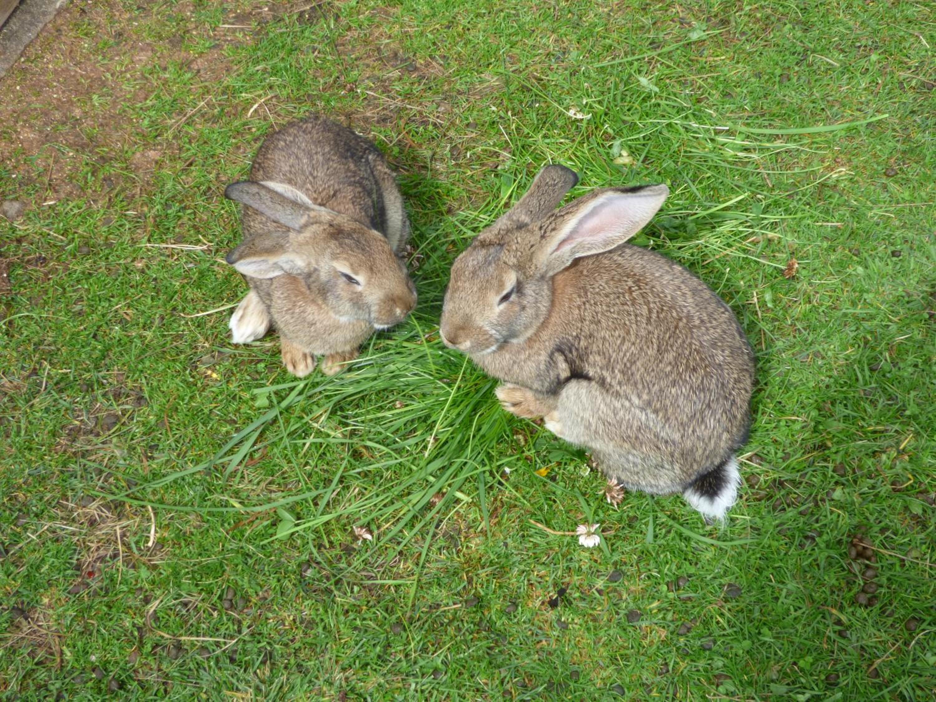 Photo 19