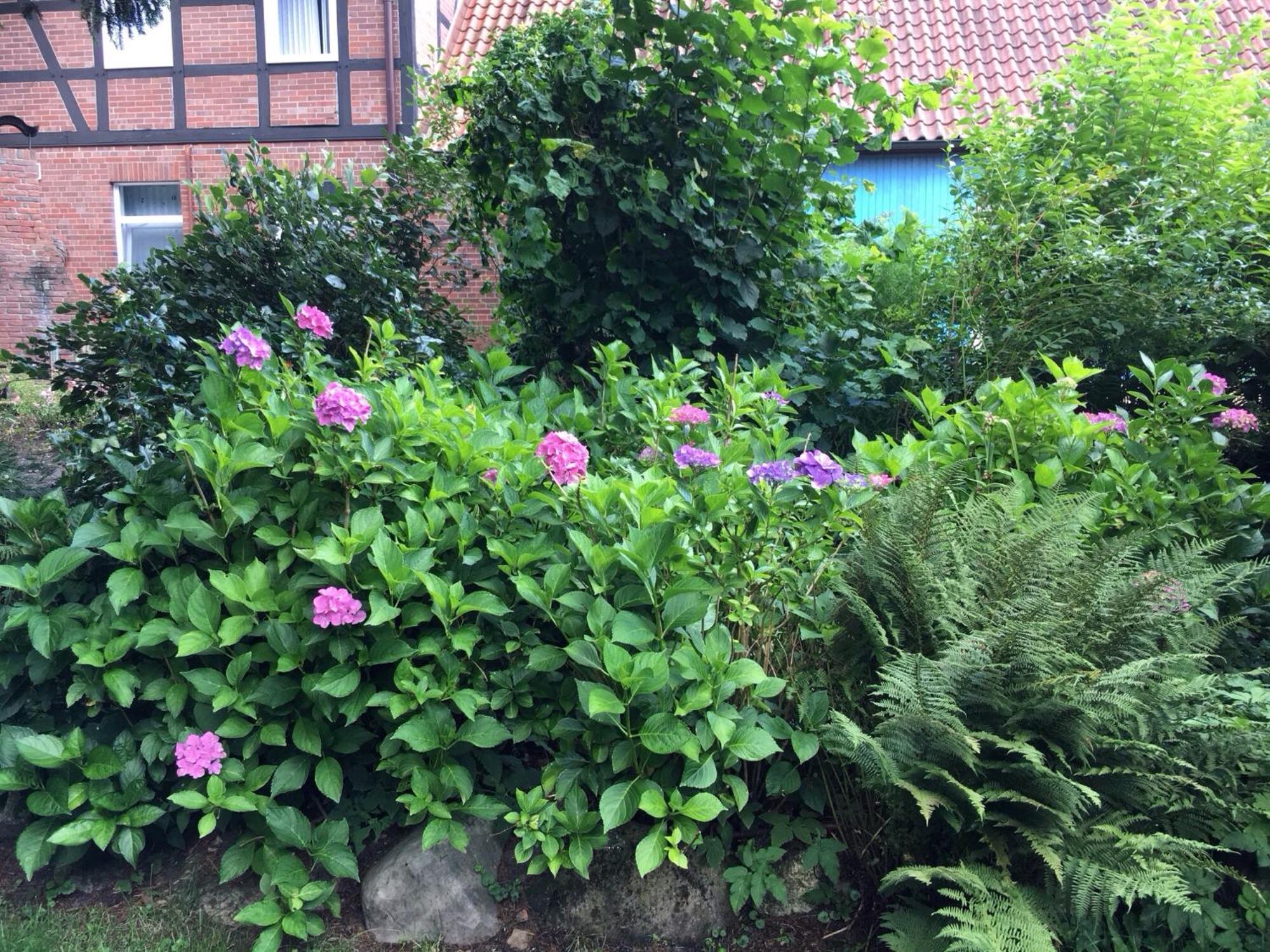 Wassermuhle Eldingen - Property Image 34