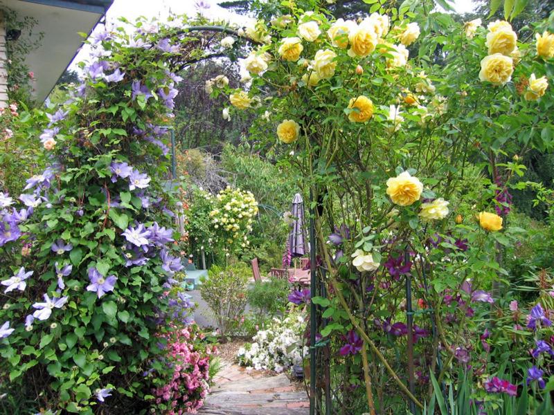 McAuley Glen Boutique B&B view 4