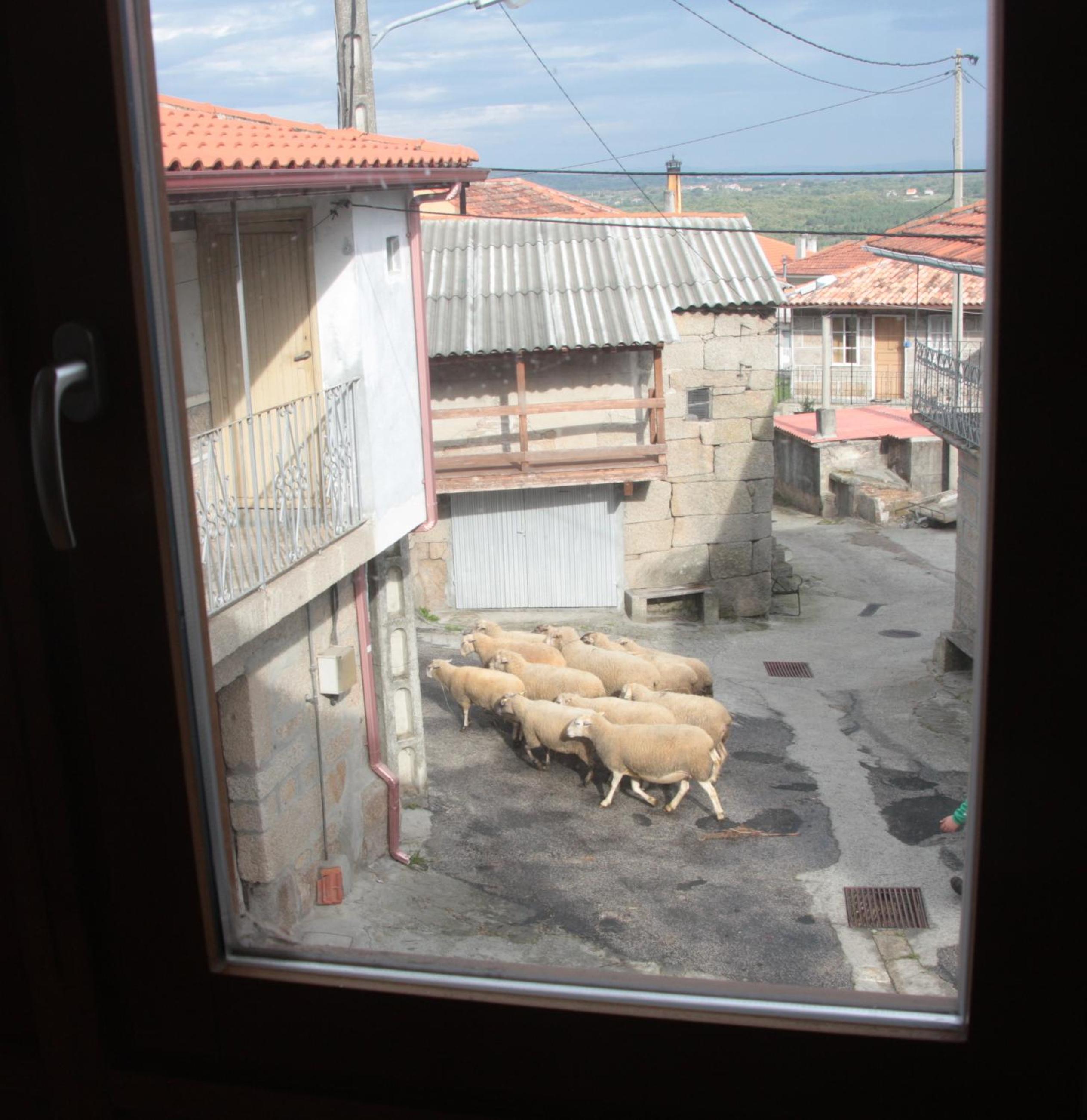 Casa Manuela view 4
