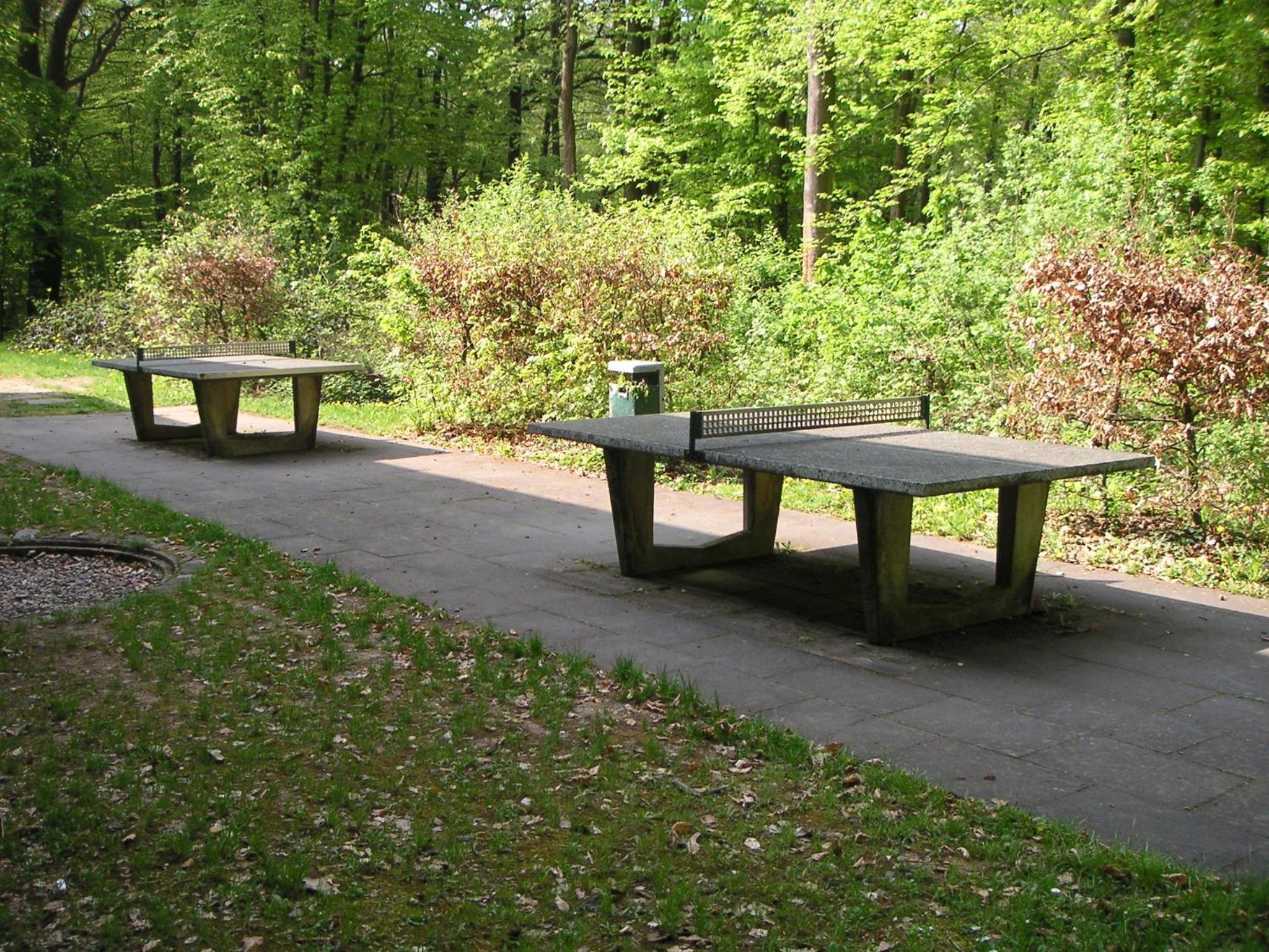 Photo 20