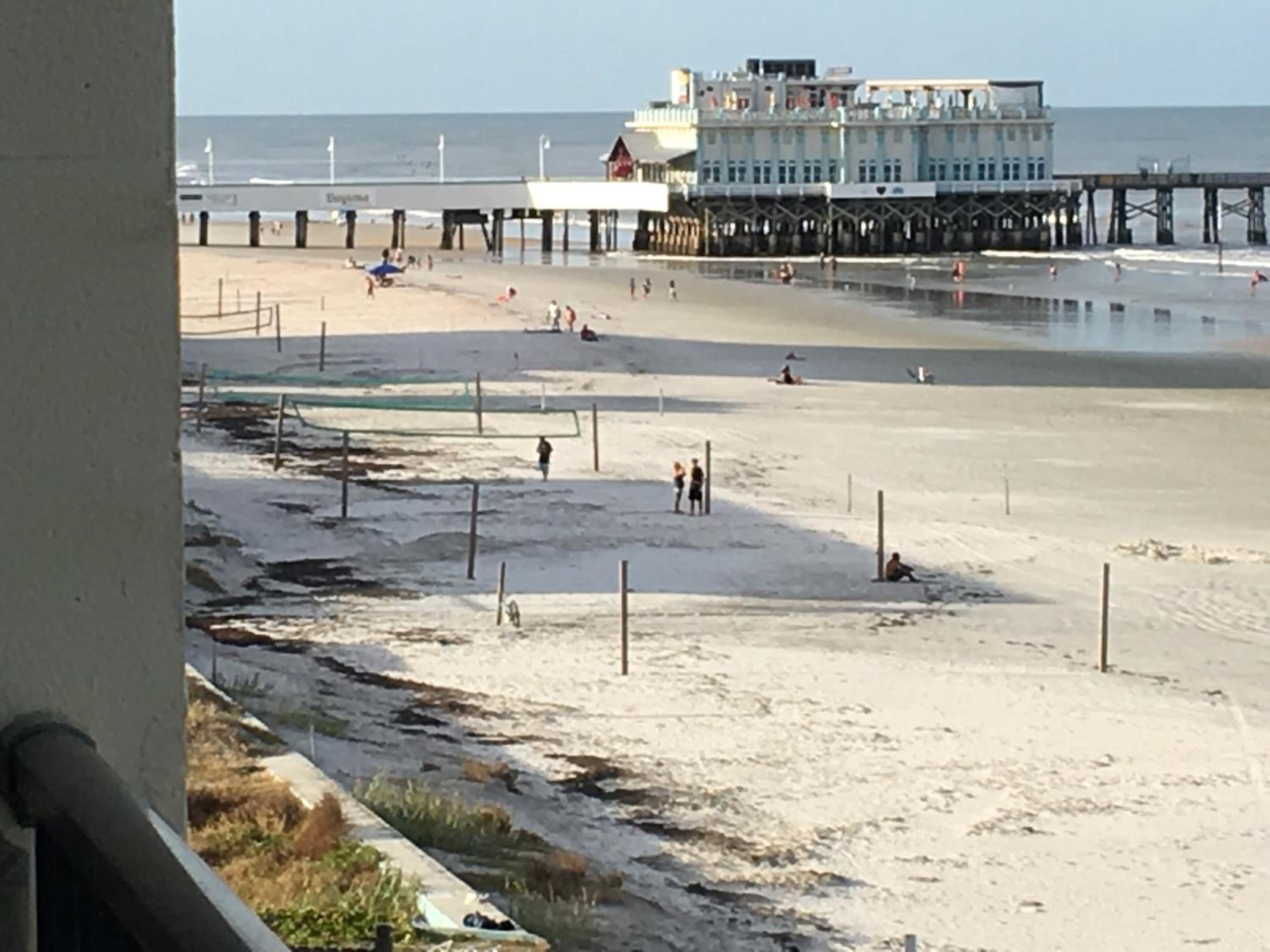 Ocean View - Direct Ocean Front-Pool Is Open