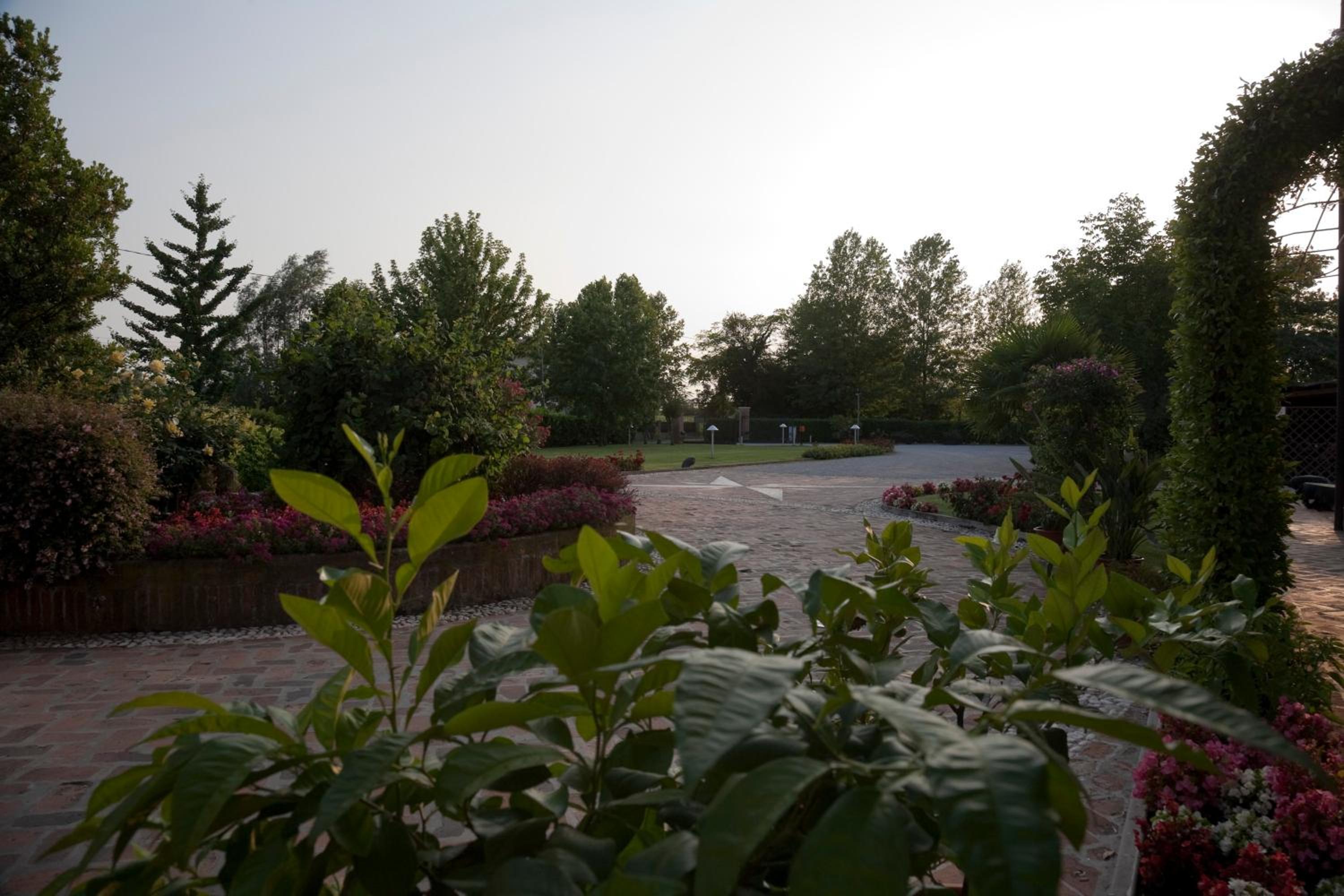Photo 45