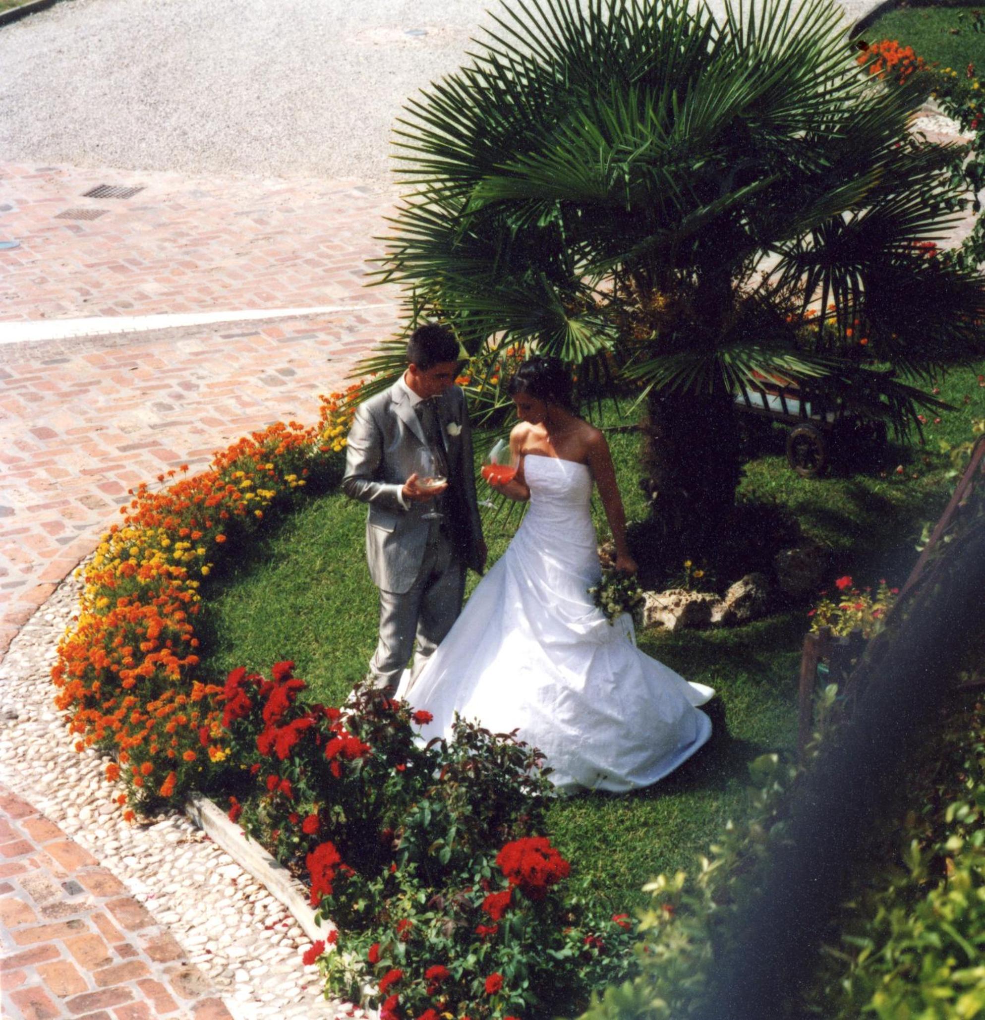 Photo 35