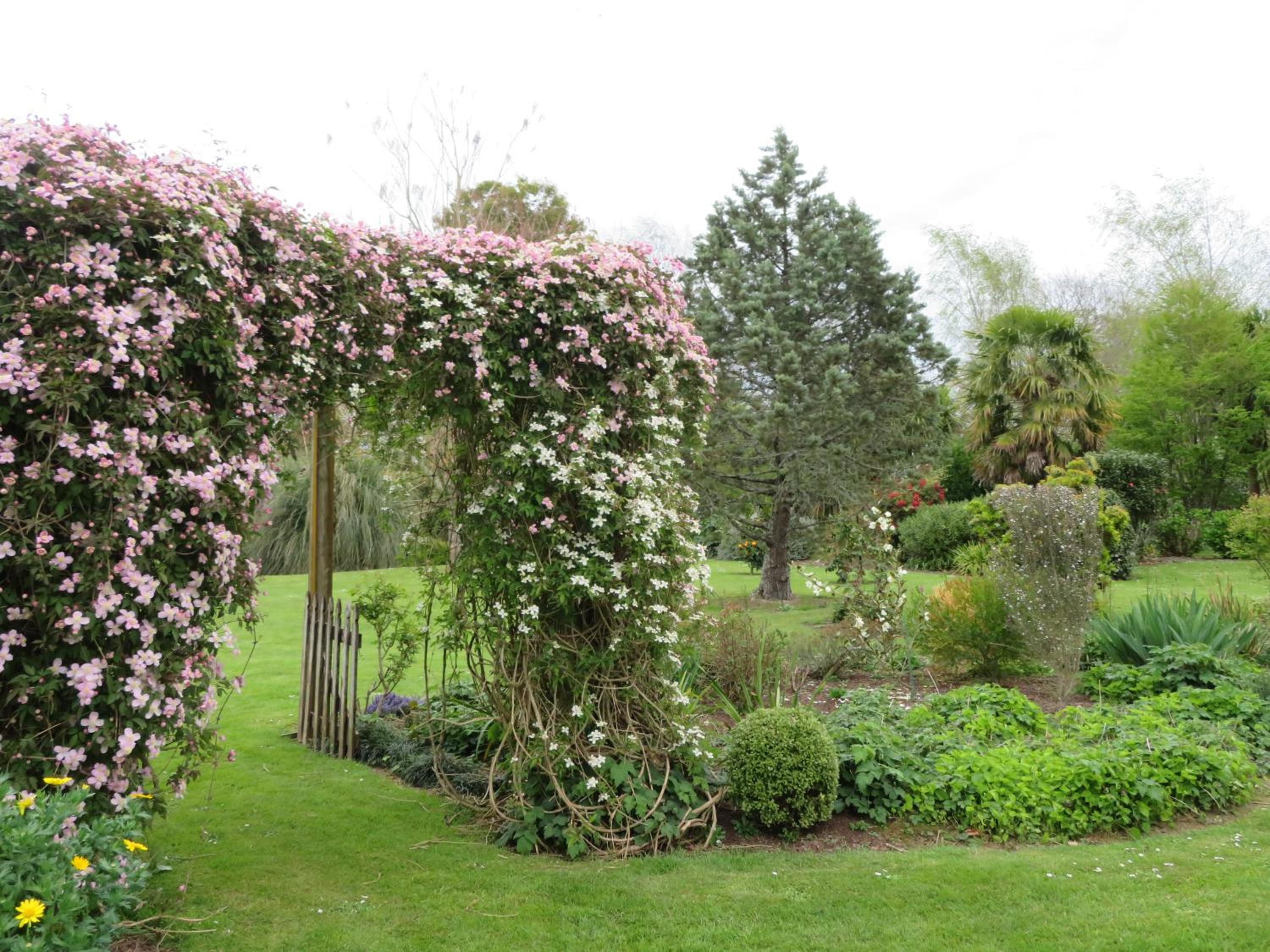 Walnut Lodge B&B, photo 10