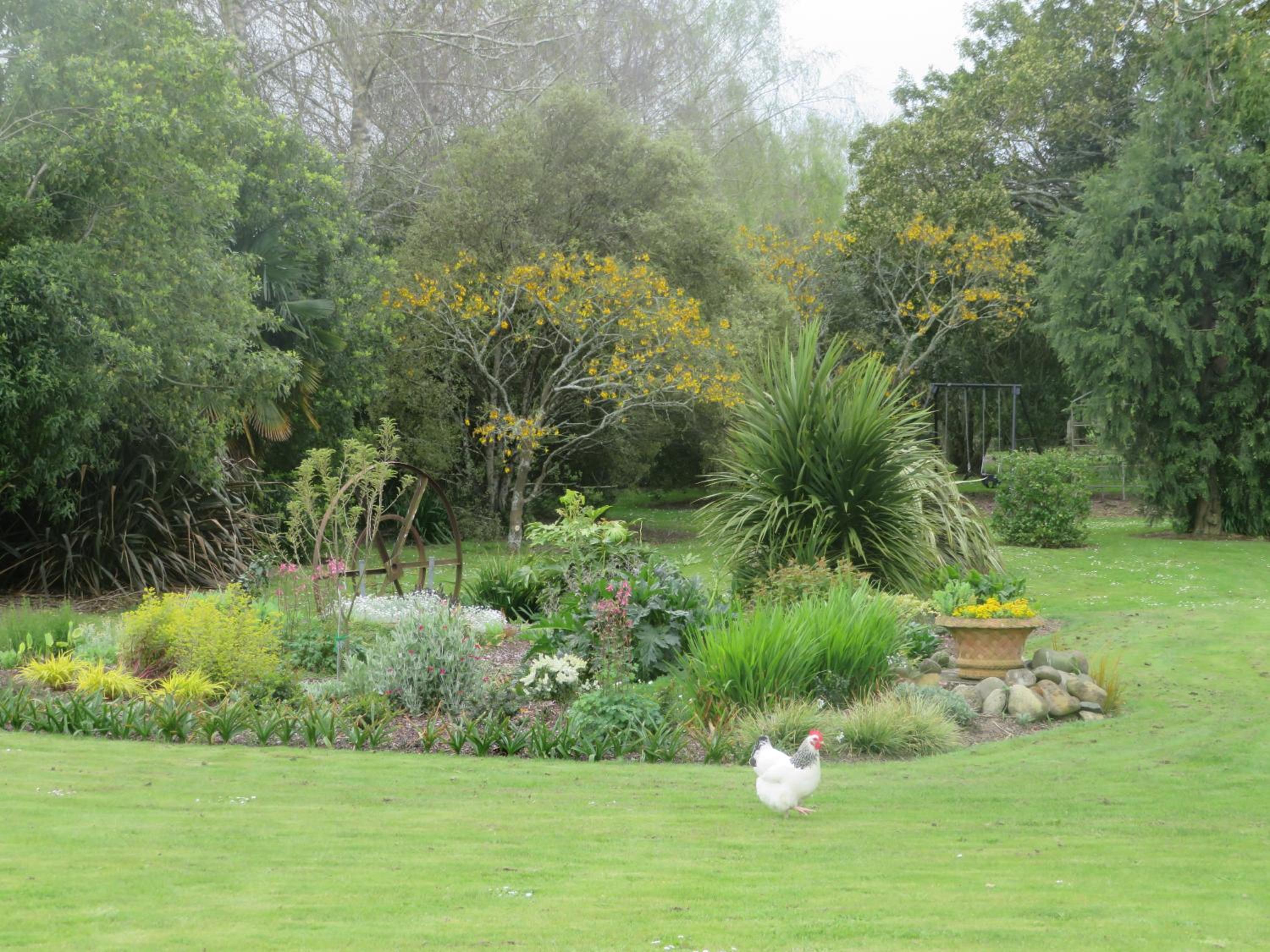 Walnut Lodge B&B, photo 25