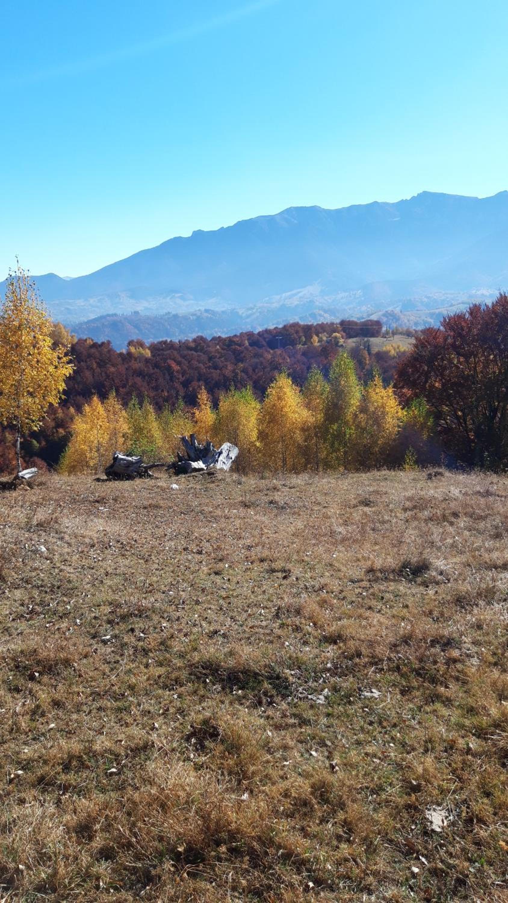 Casa Claudiu view 5