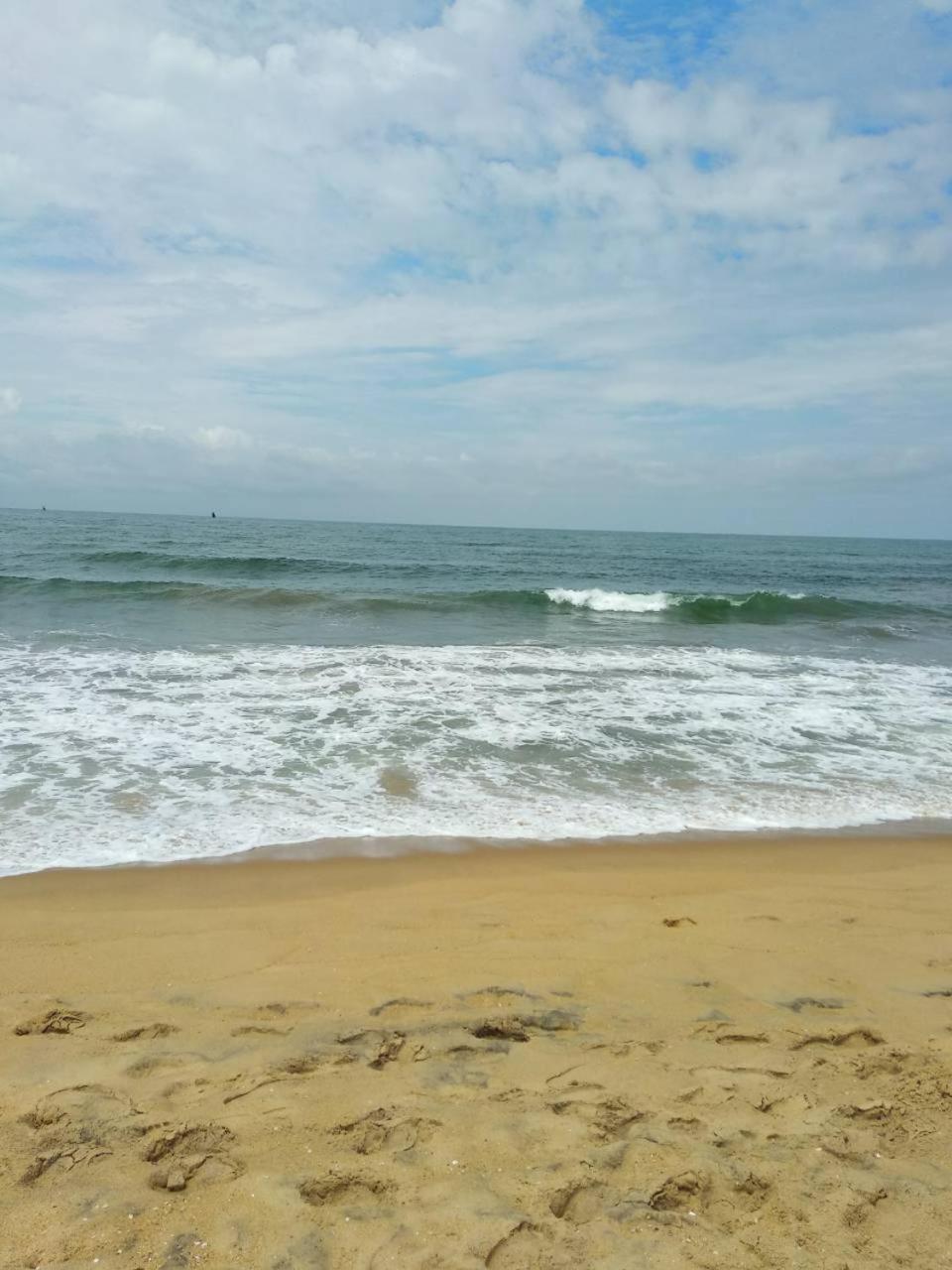 Photo 48