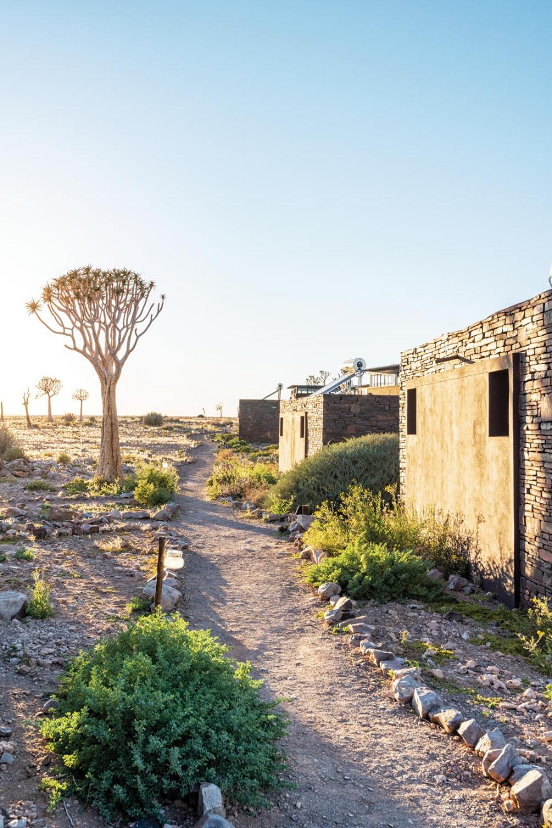 Photo 102