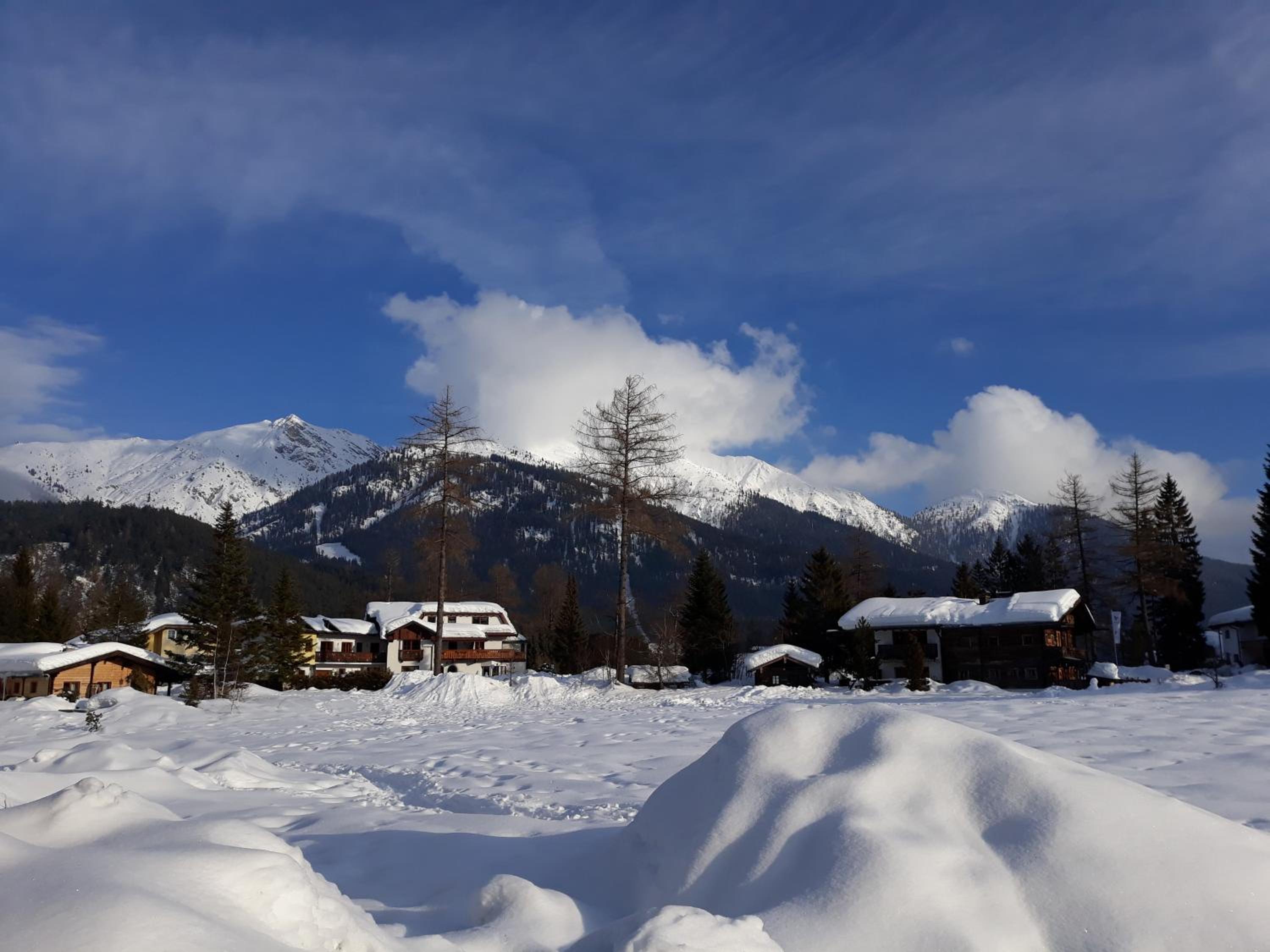 Haus Elisengrund am Geigenbuehel - chalet privé