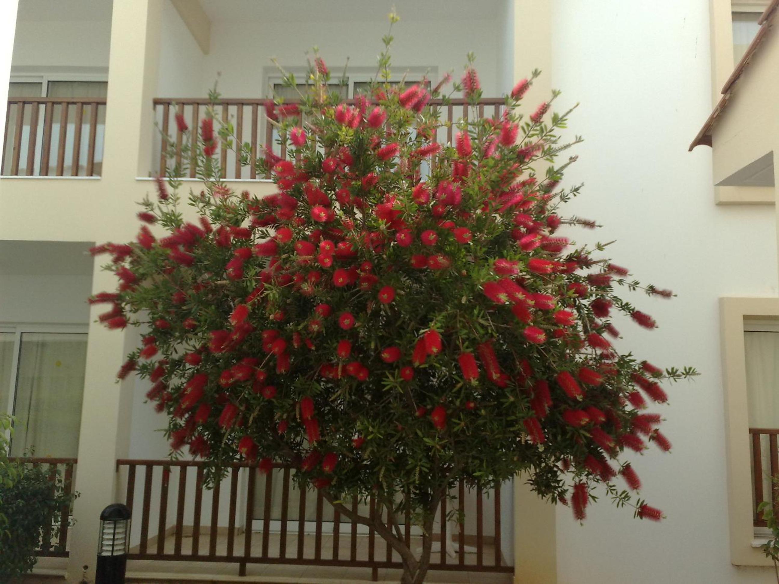 Photo 24