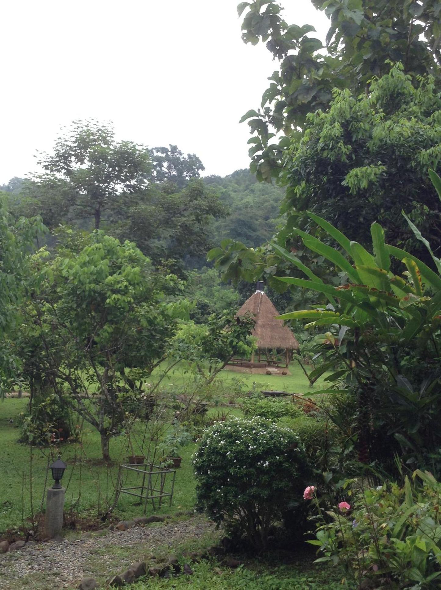 At Home Chiang Dao, Pooch Lovers