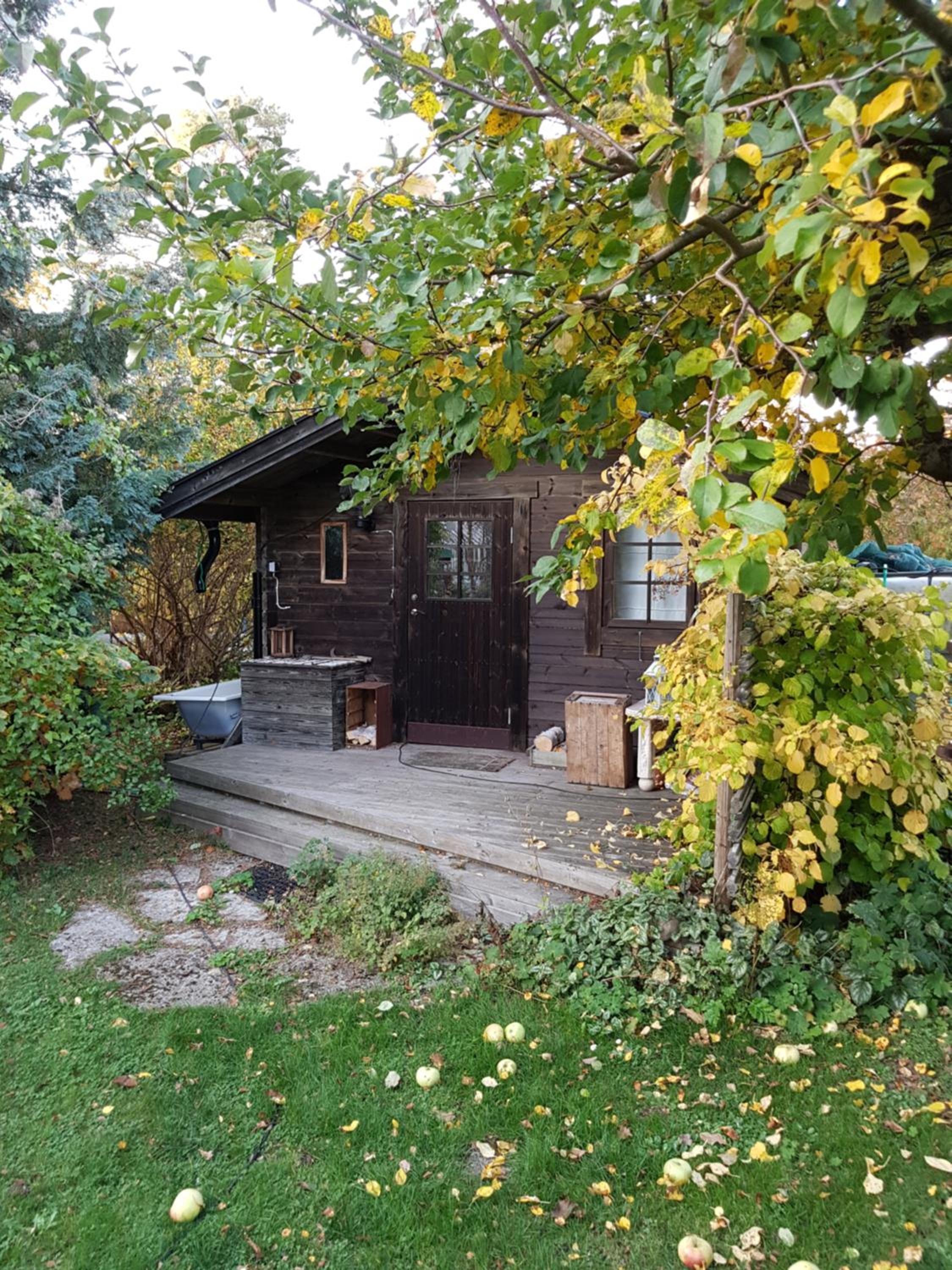 Photo 14