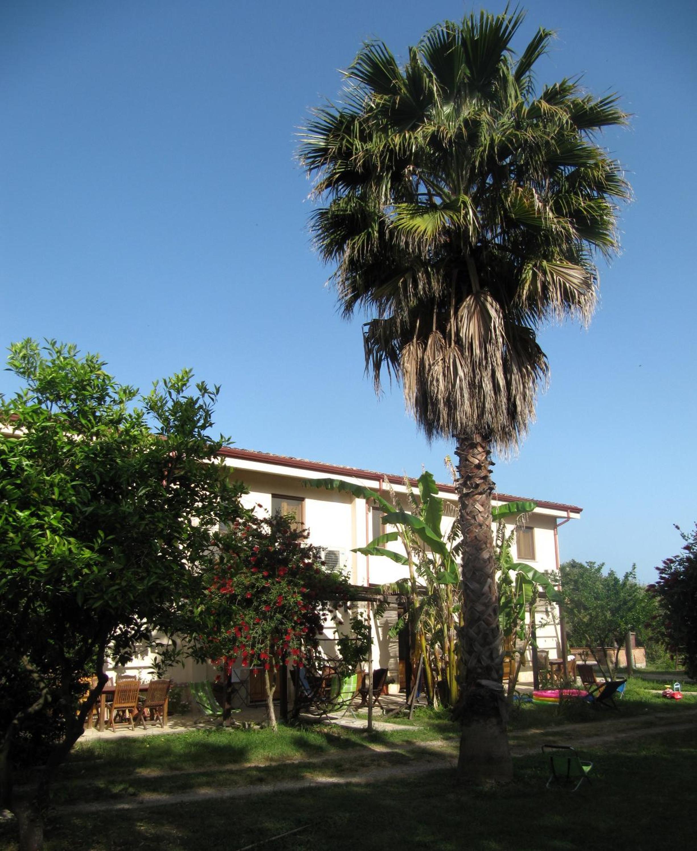 Photo 30