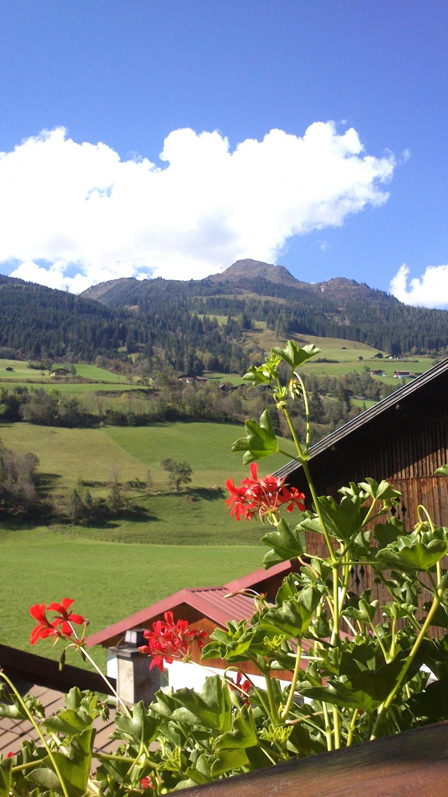 Stubnerbauer
