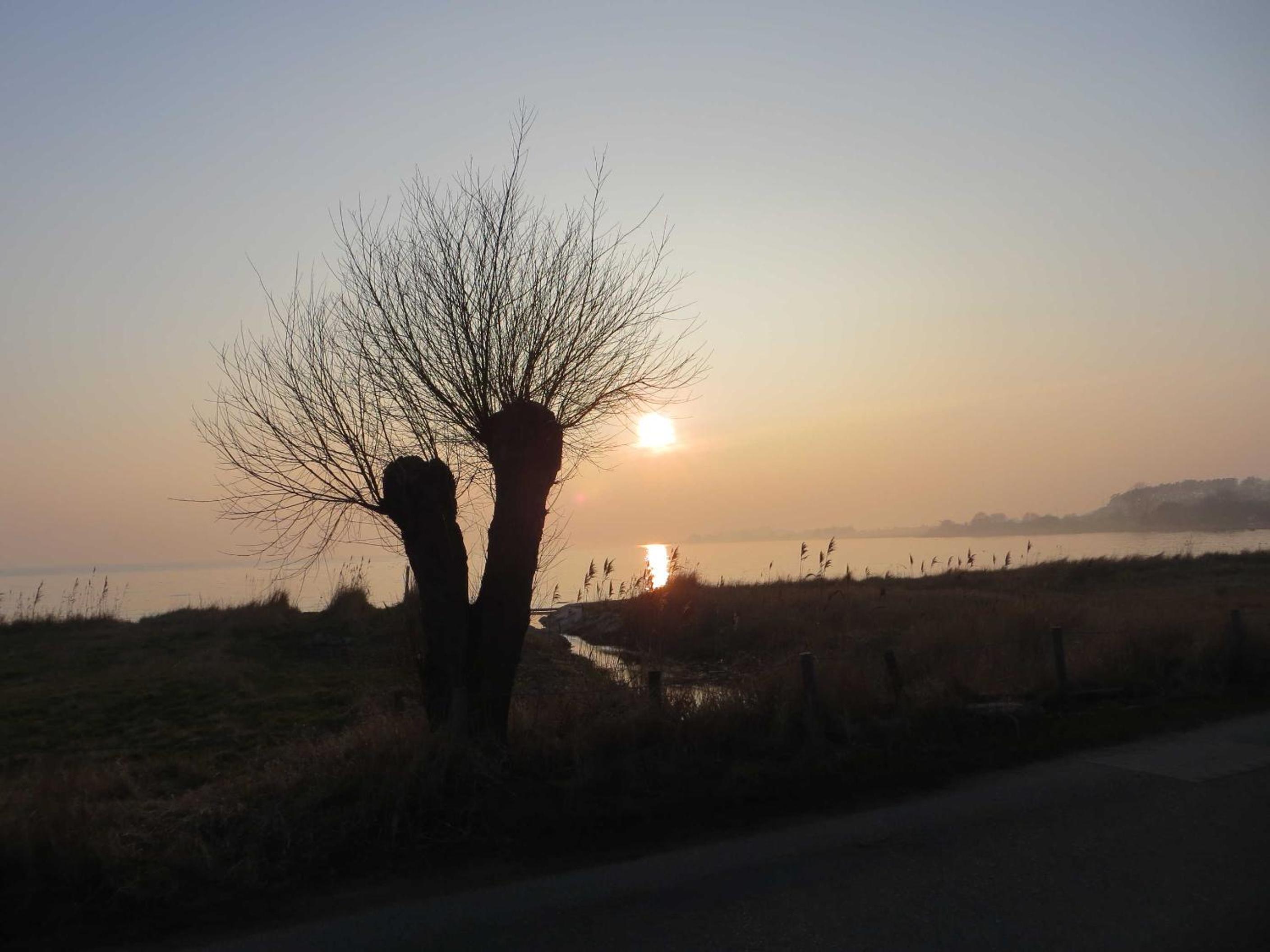 Pension Waldrose