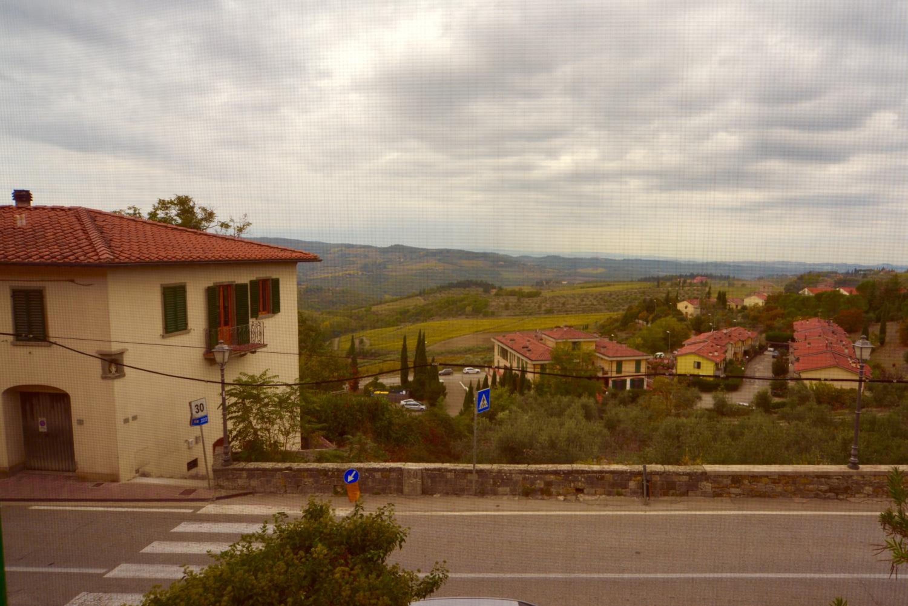 damario panorama