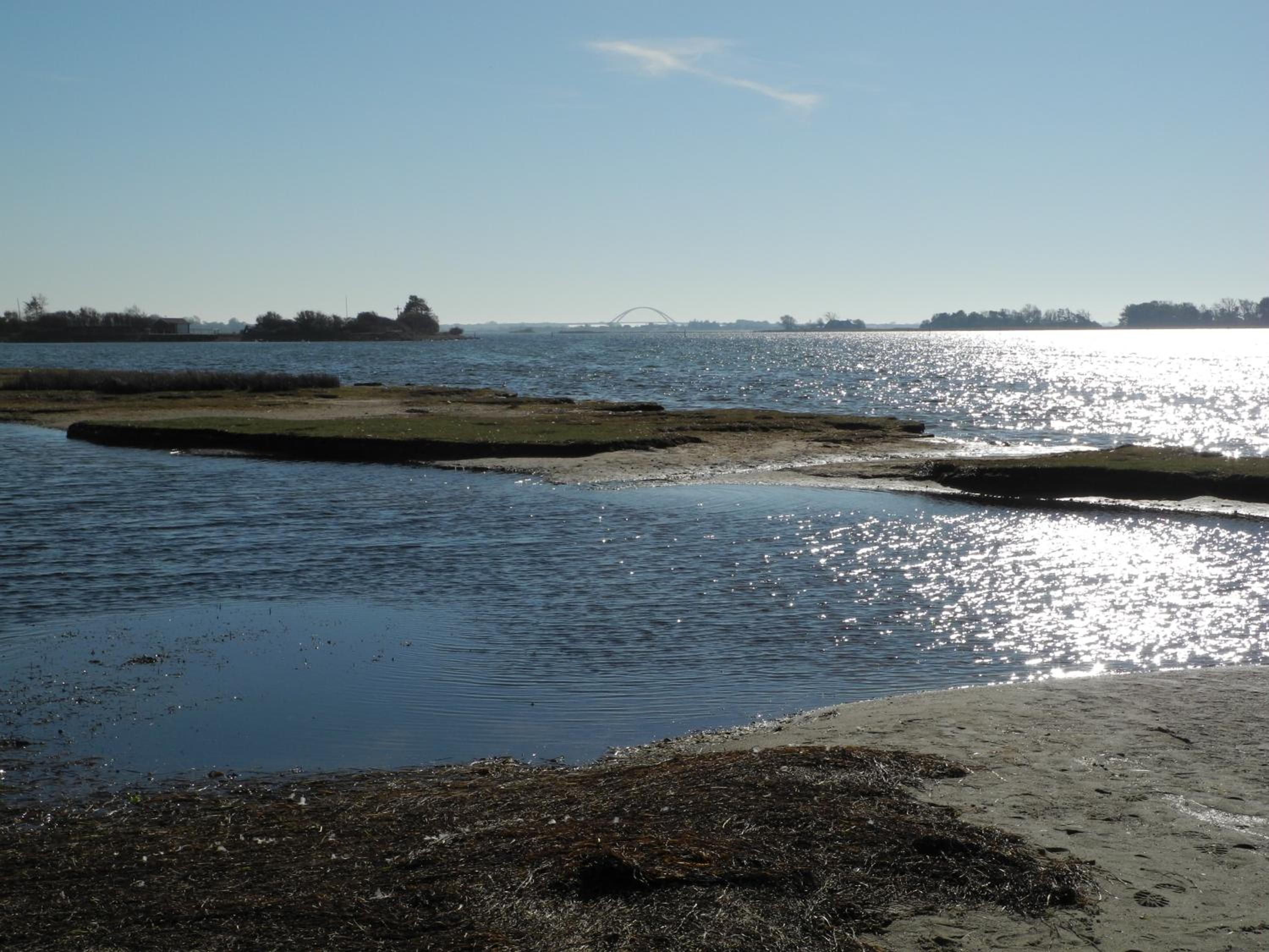 Zur Mühle Lemkenhafen auf Fehmarn view 5