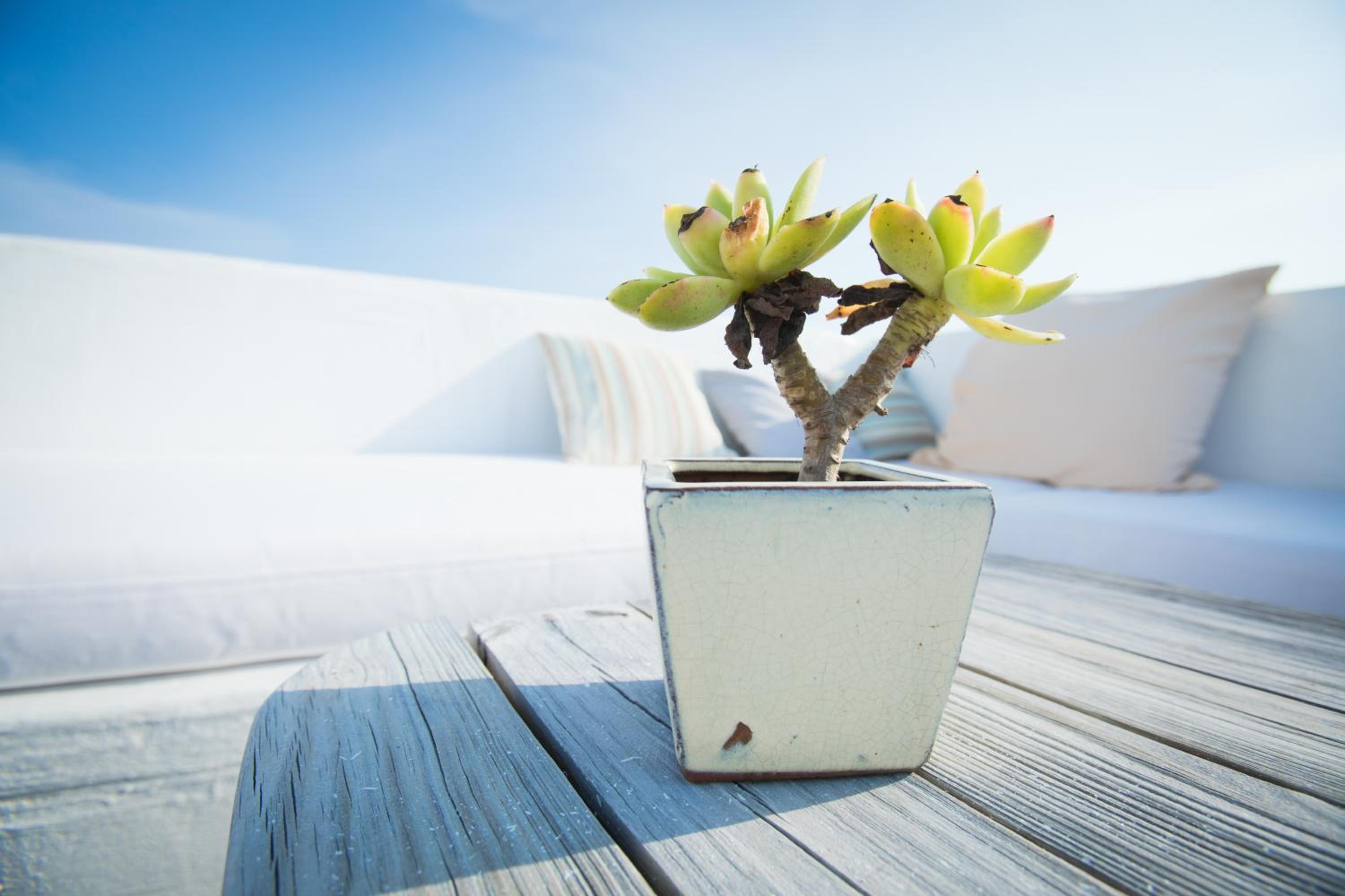 Kenting South Border DeSign Hotel