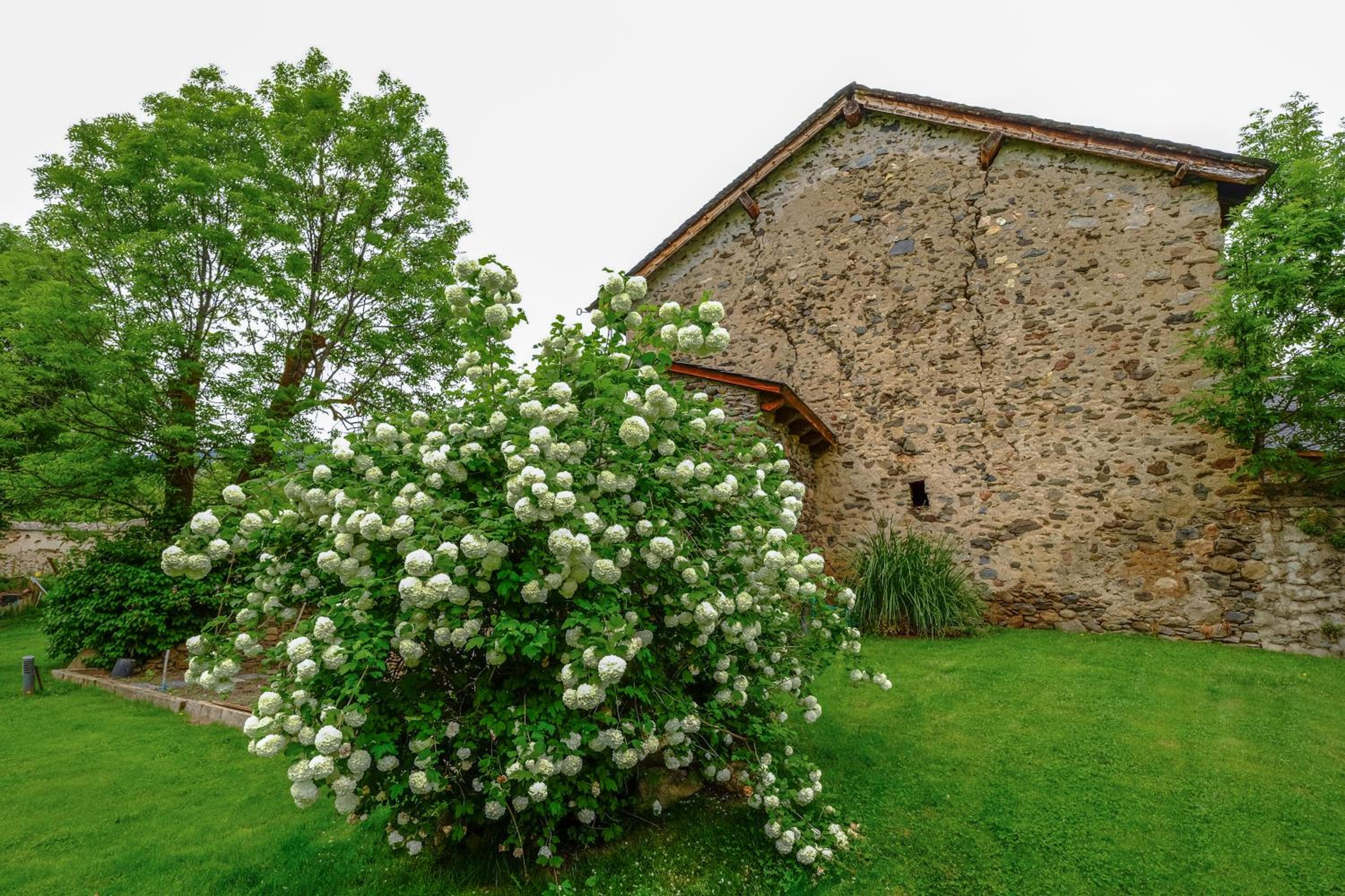 Torre Gelbert