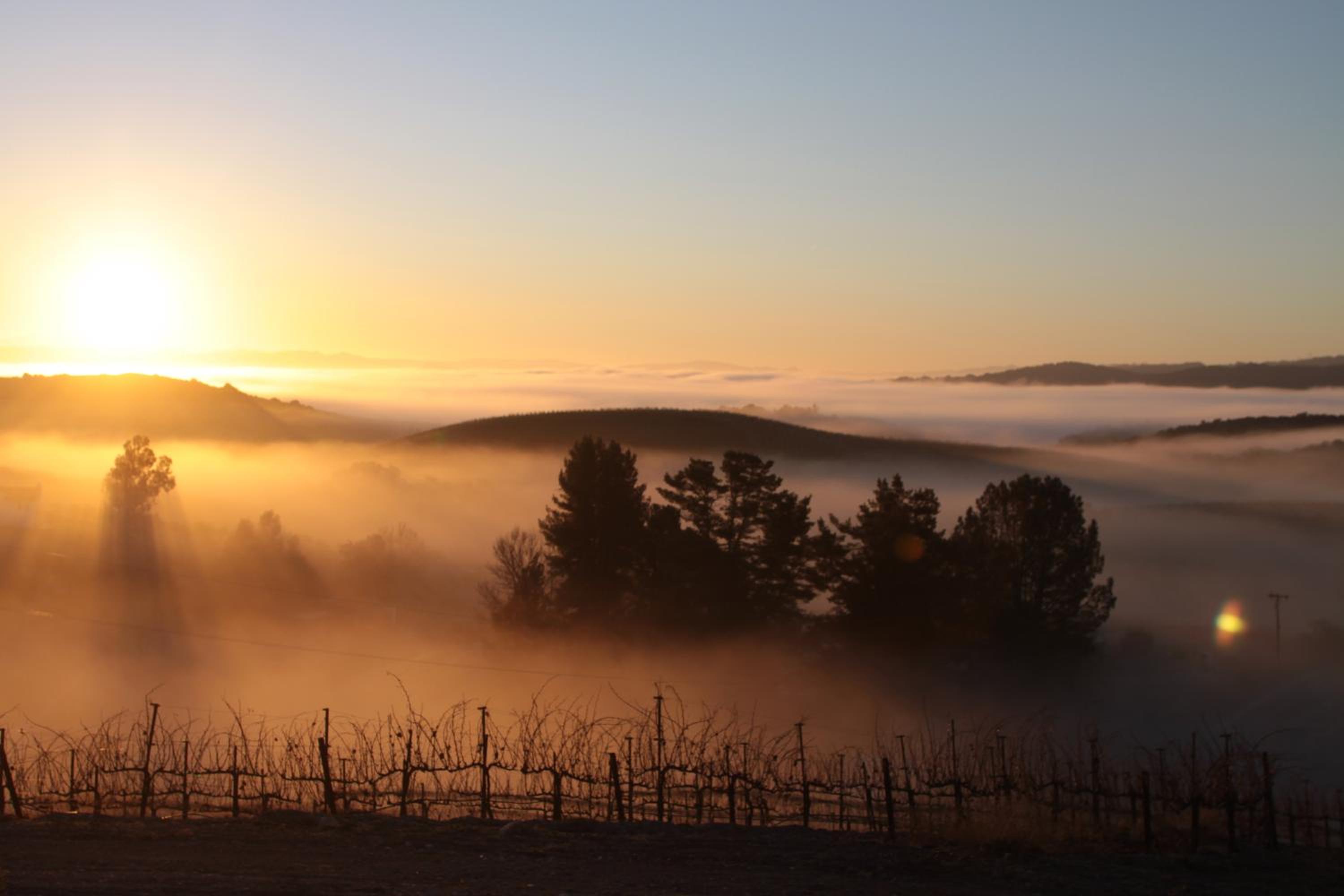 Croad Vineyards - The Inn