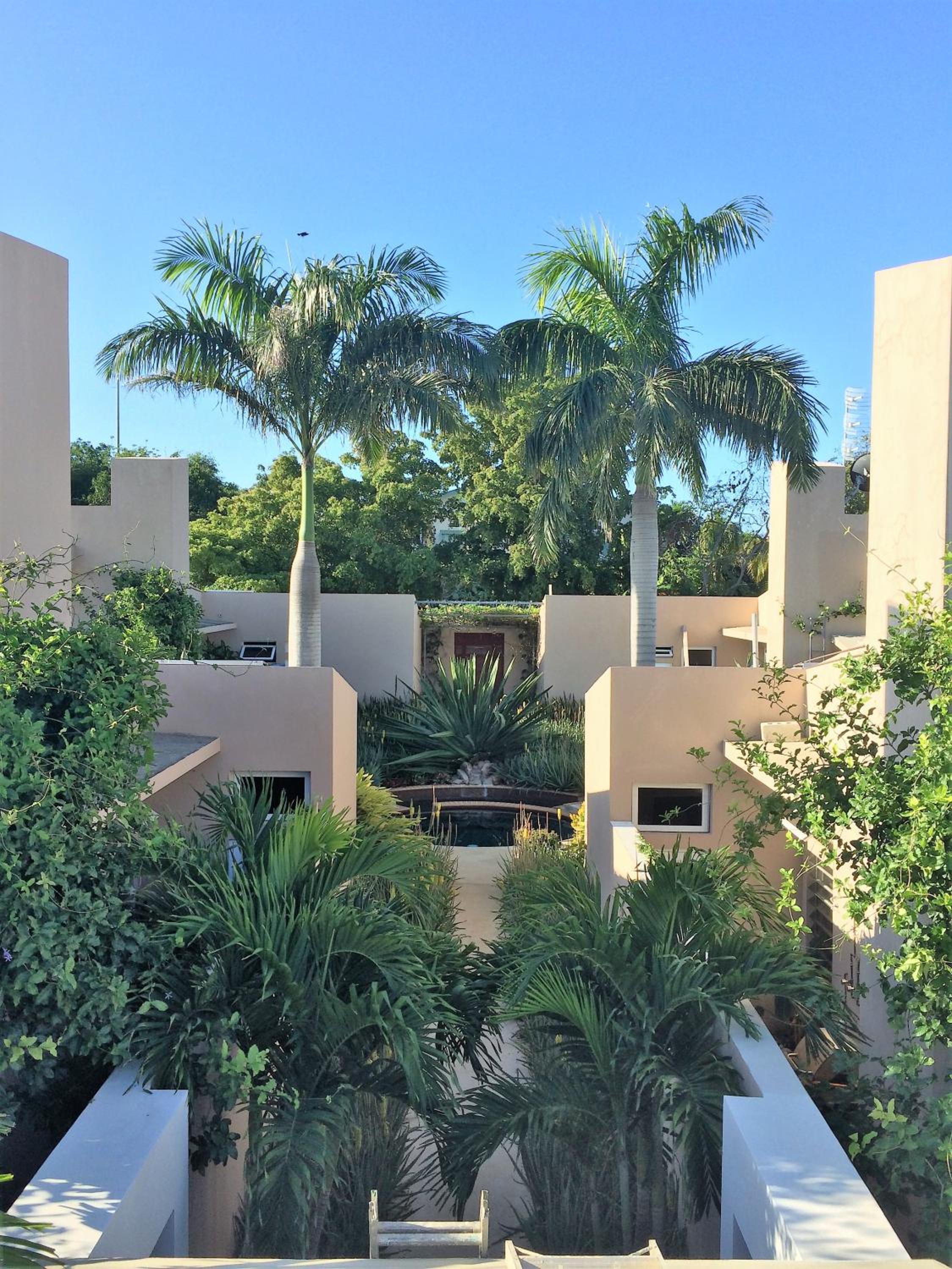 4 Casitas