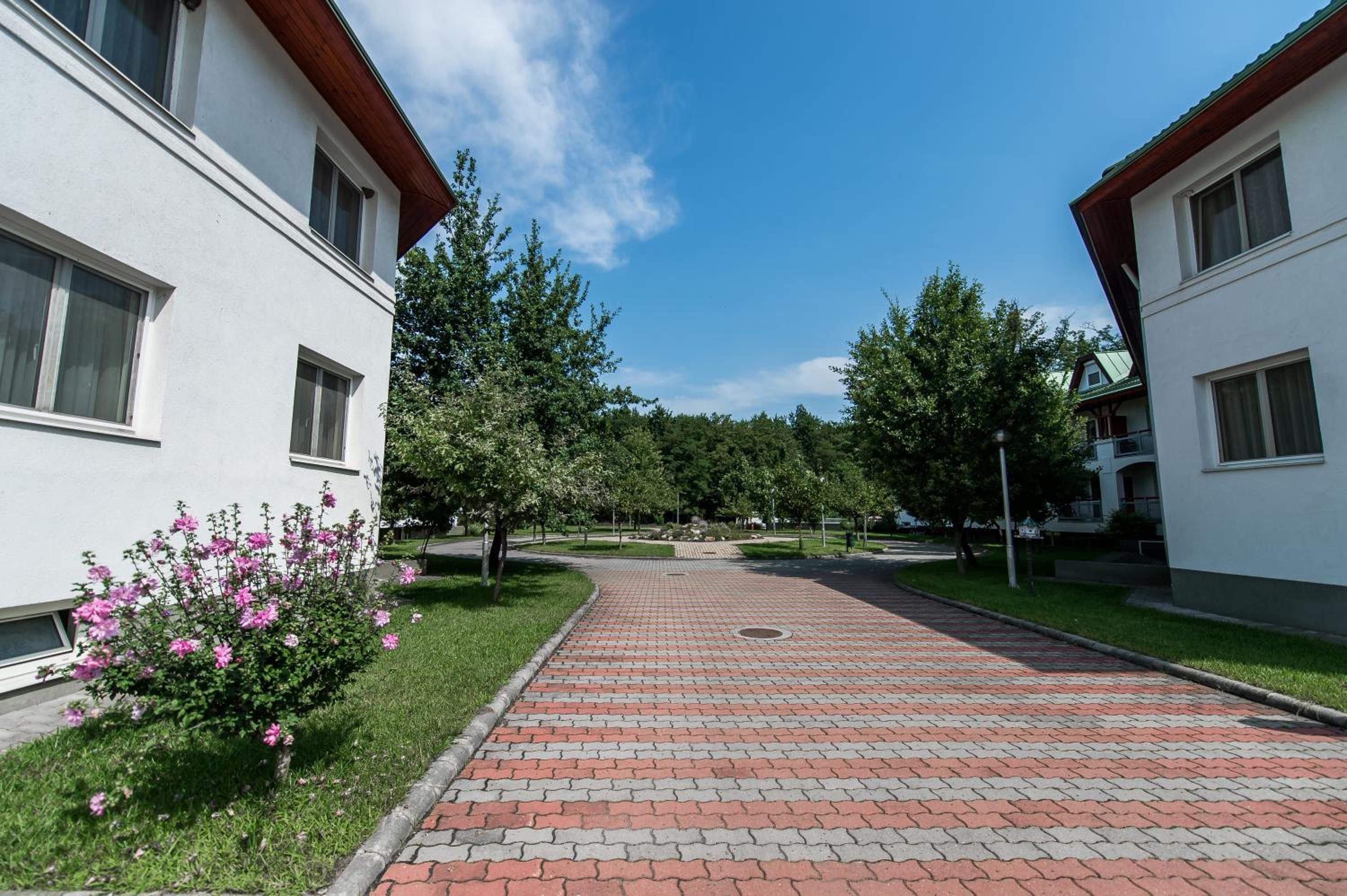children's play area