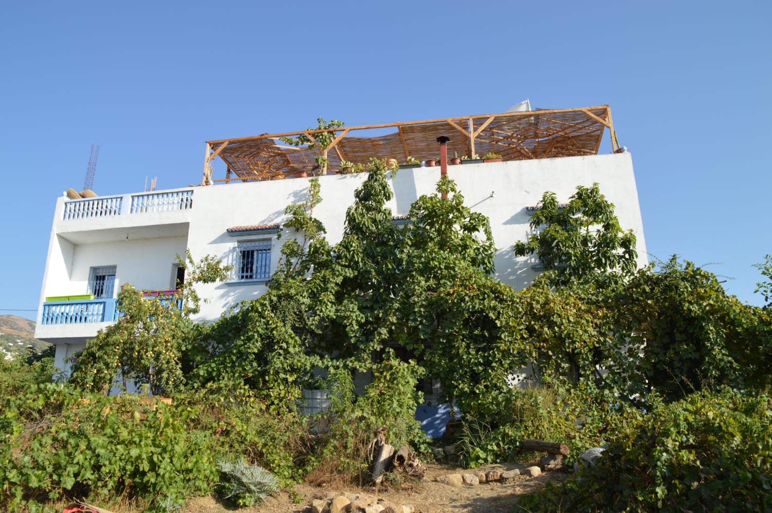 Ali Baba complete Apartment Hostel 8Person view 5