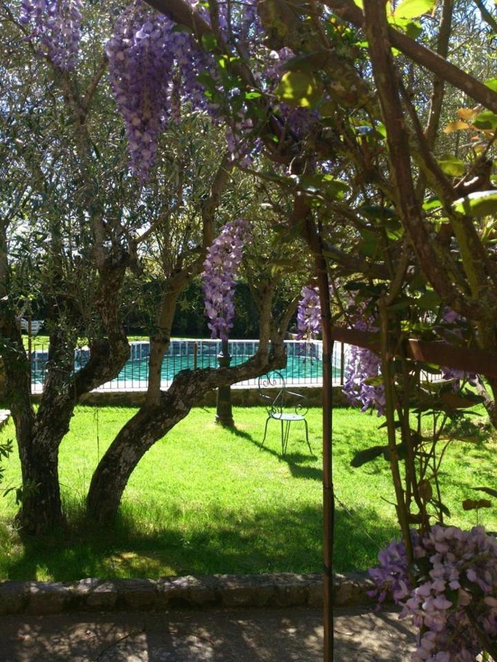 Puerto Roque Turismo Rural