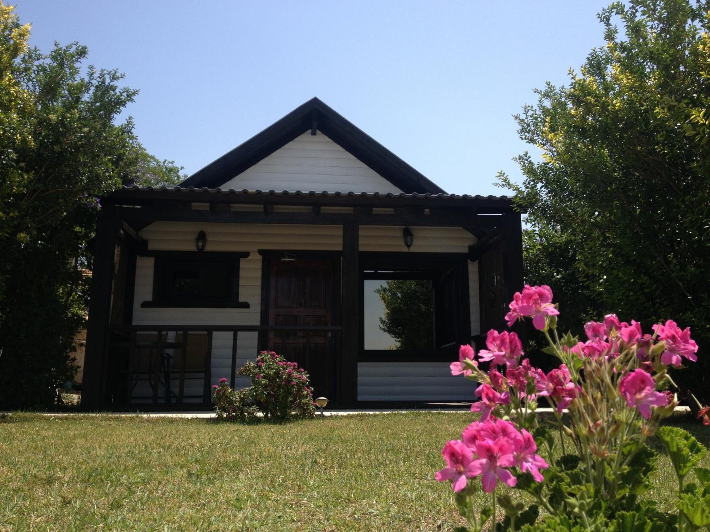 Photo 18