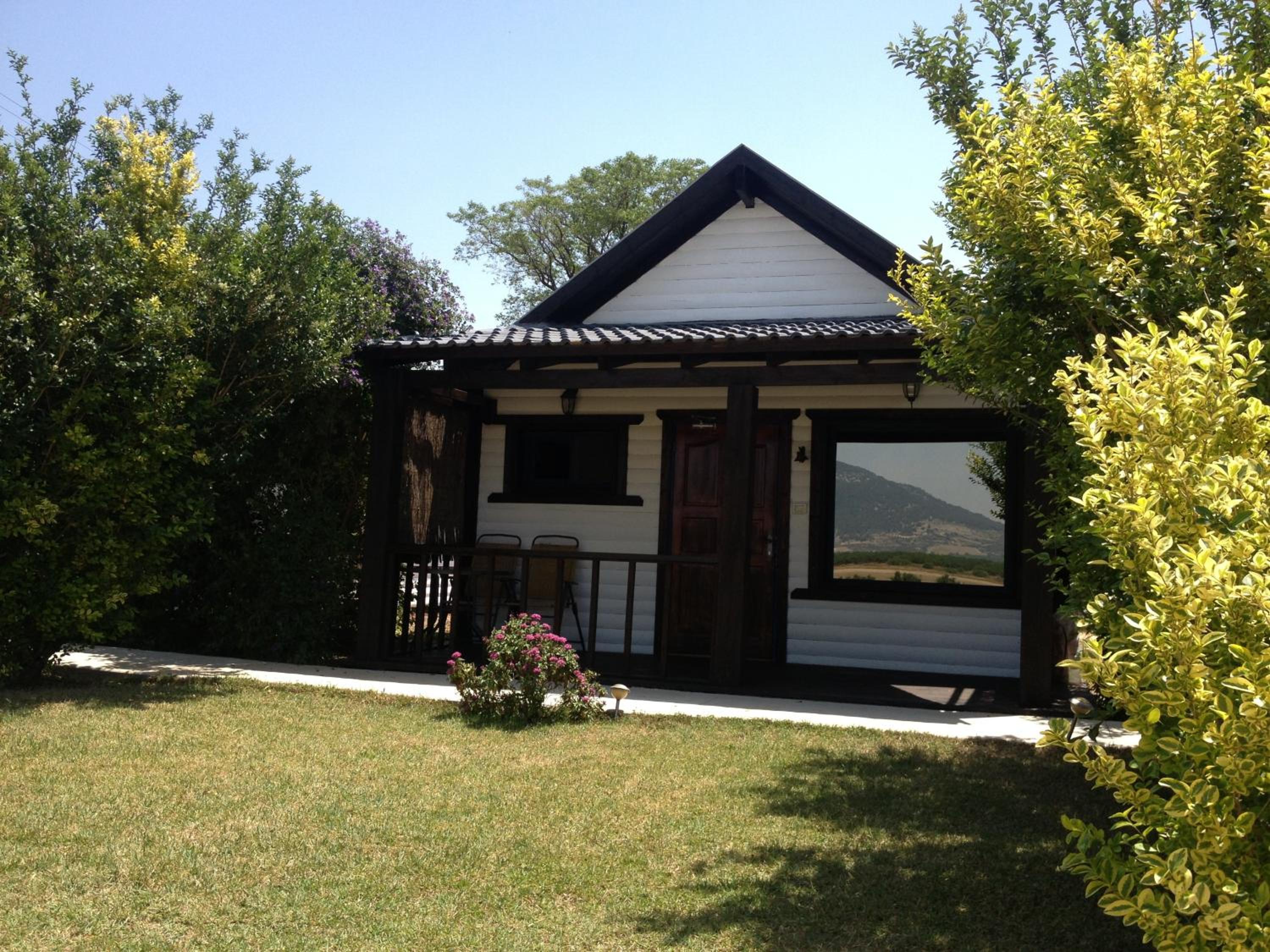Photo 15