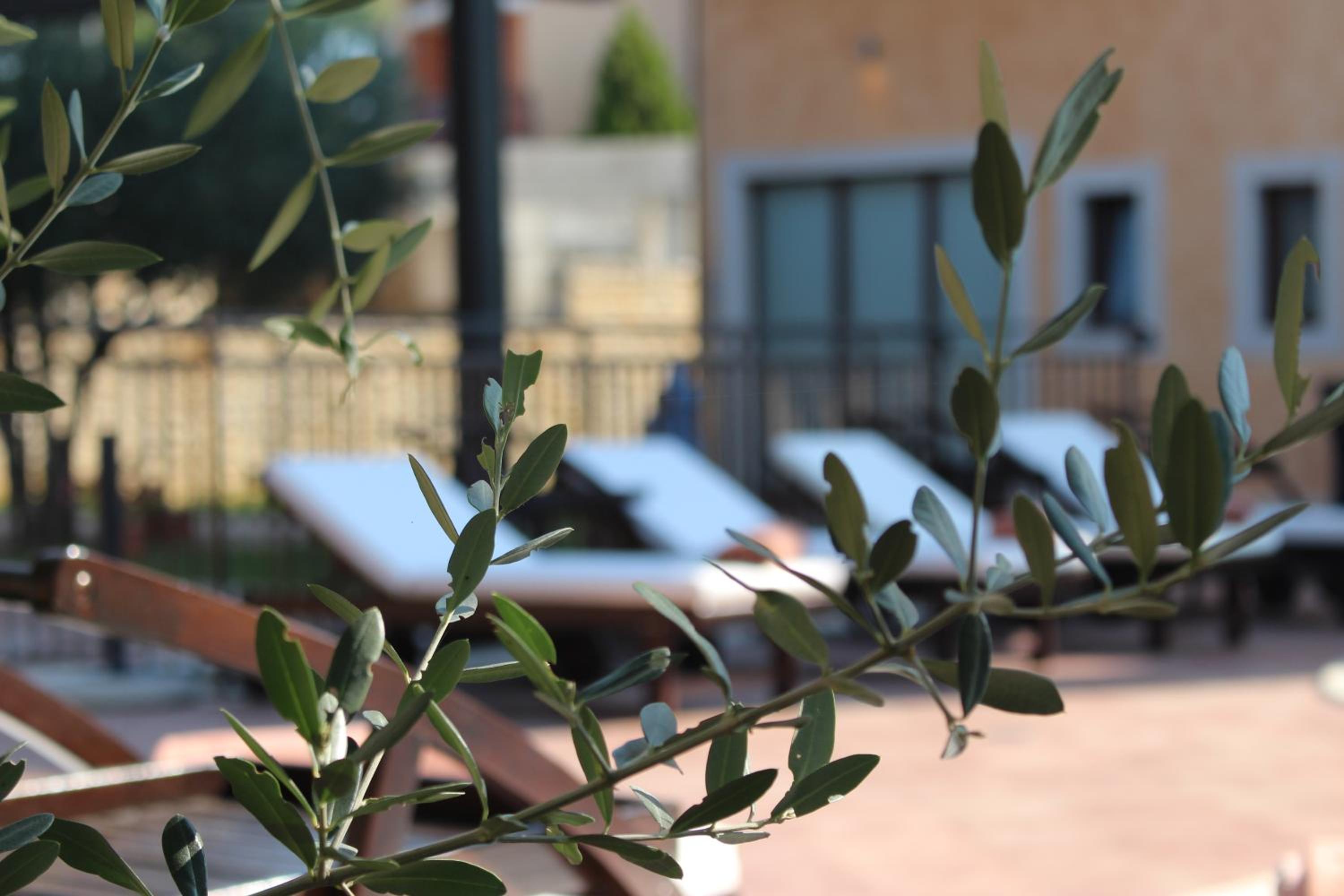 Hotel Casa Alice - Image 1