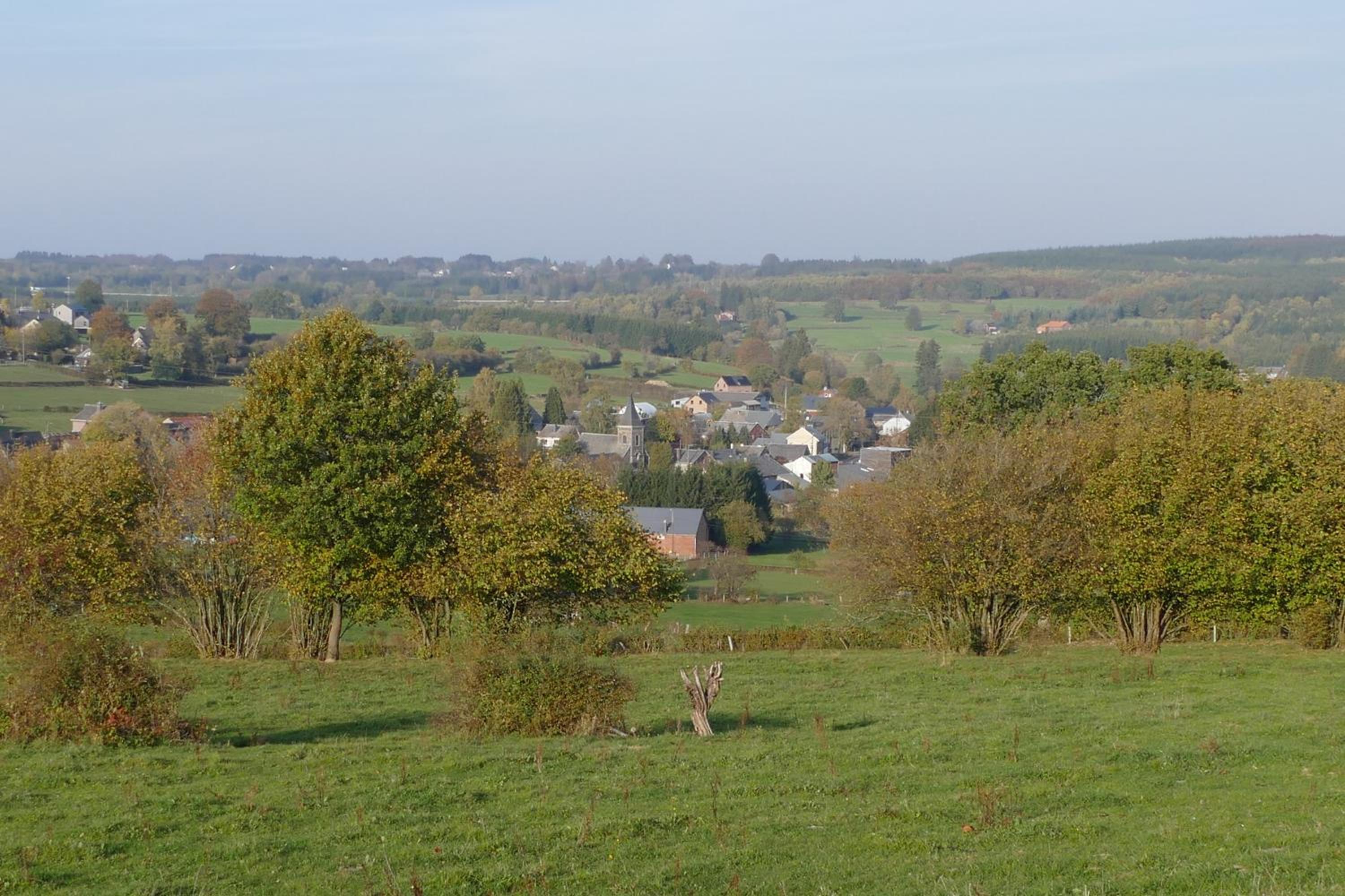 L'Aubépine