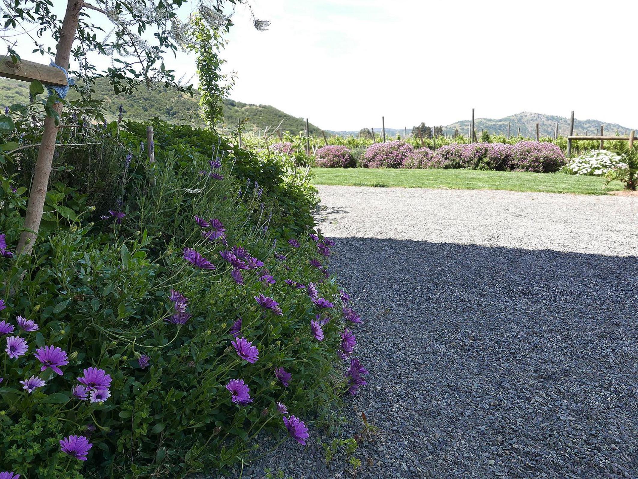 Callihue Lodge