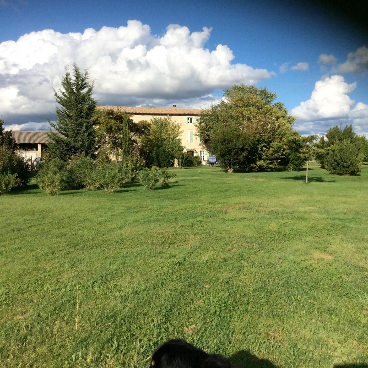 Photo 27
