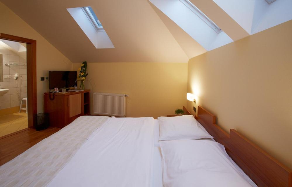 Hotel Penzion Na Hradě