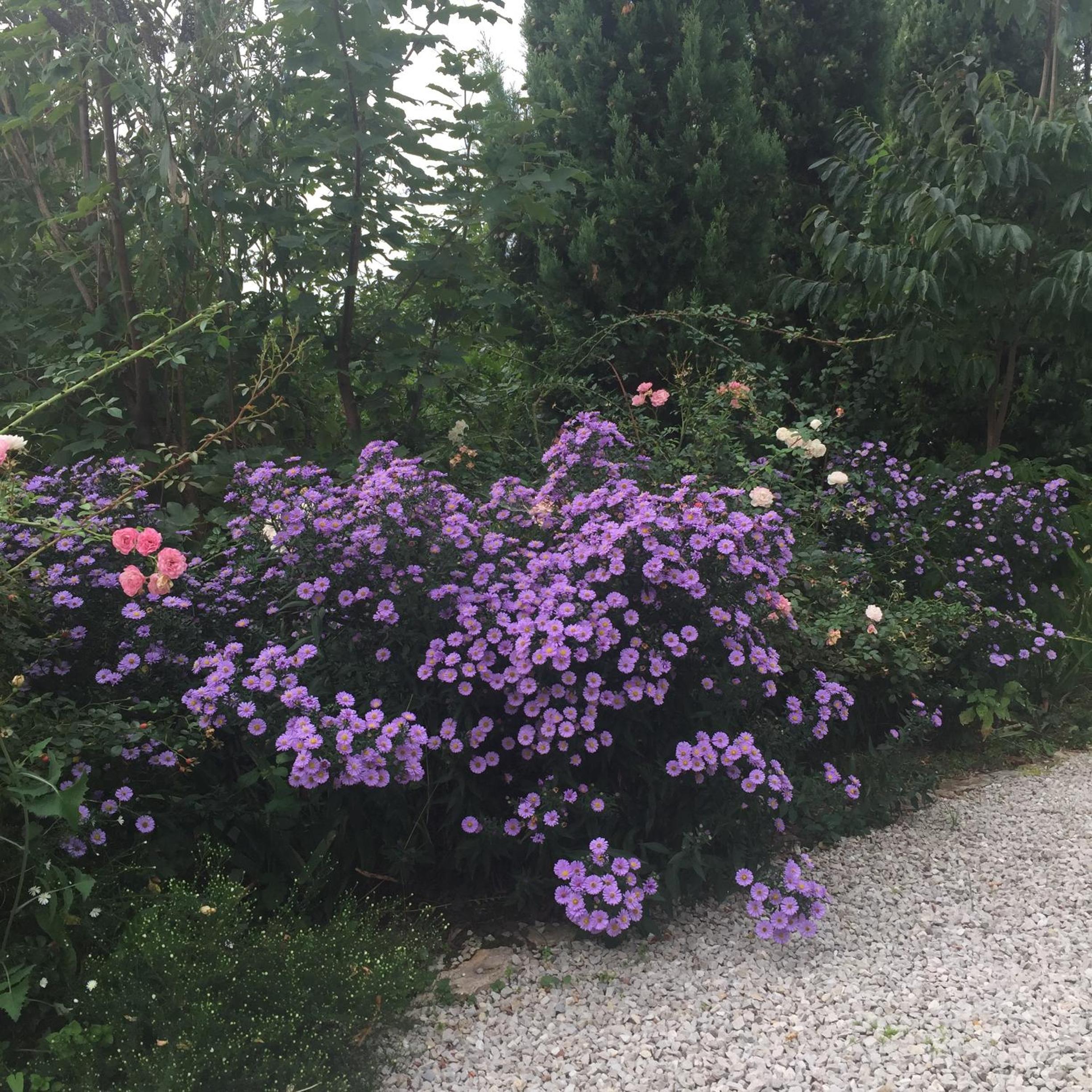 Photo 33