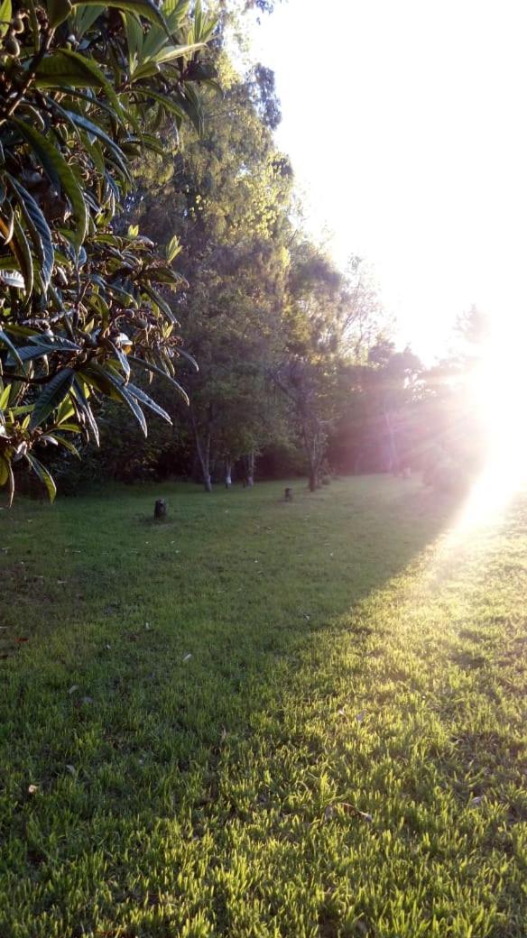 Rancho Apar T -