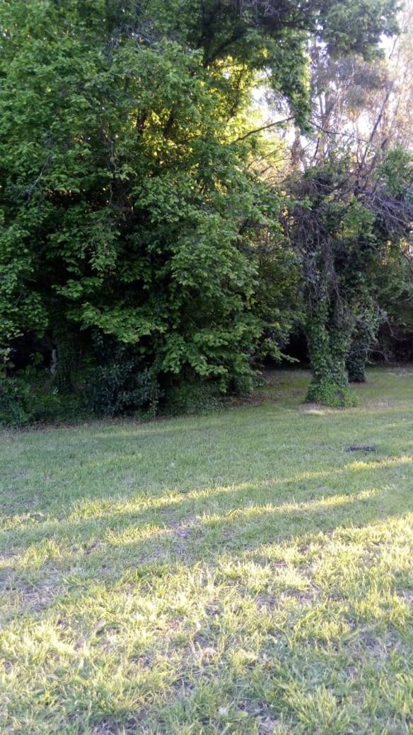 Rancho Apar T -