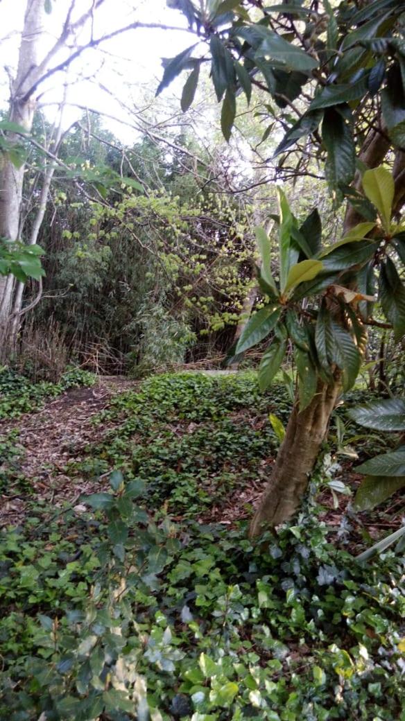 Rancho Apar T -