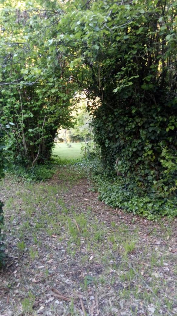 Rancho Apar T -