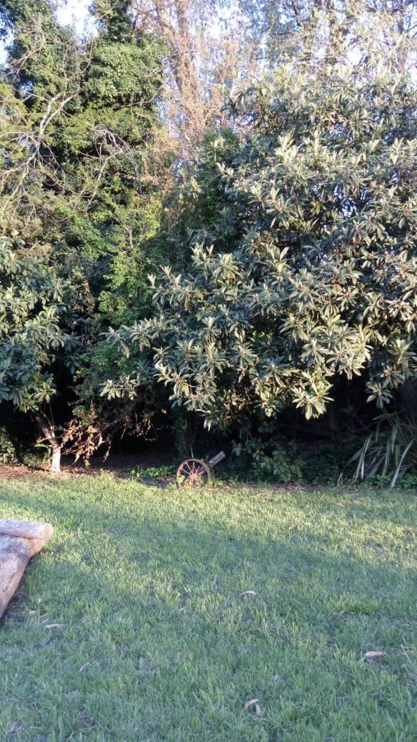 Rancho Apar T -