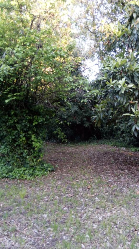 Rancho Apar T -